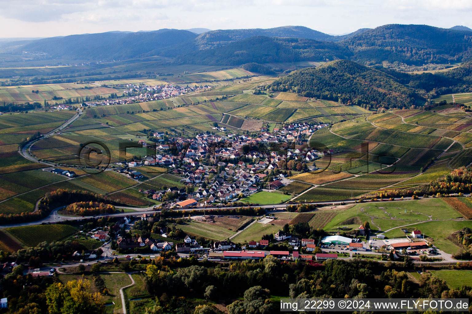 Birkweiler dans le département Rhénanie-Palatinat, Allemagne depuis l'avion