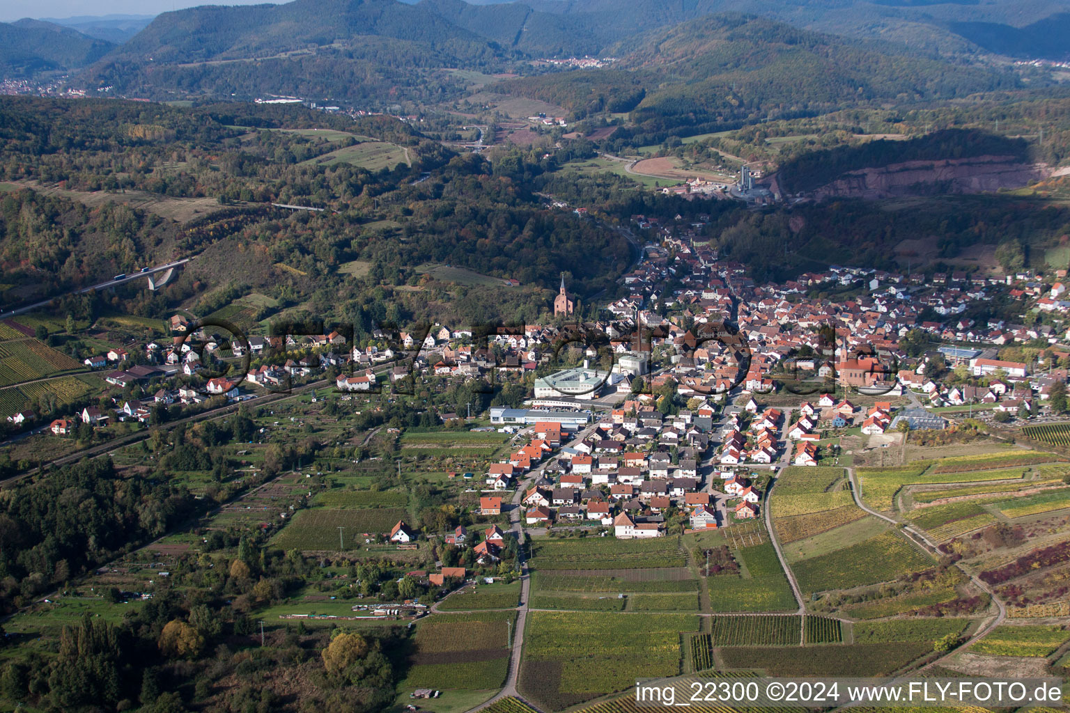 Vue aérienne de Vue sur le village à Albersweiler dans le département Rhénanie-Palatinat, Allemagne