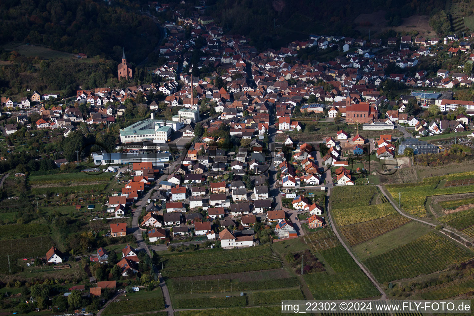 Albersweiler dans le département Rhénanie-Palatinat, Allemagne vu d'un drone