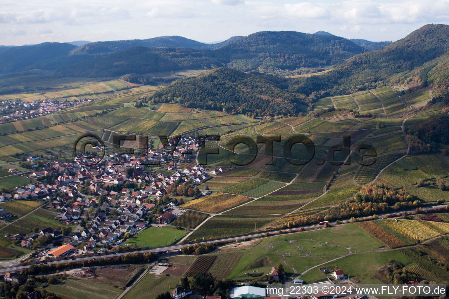 Vue d'oiseau de Birkweiler dans le département Rhénanie-Palatinat, Allemagne