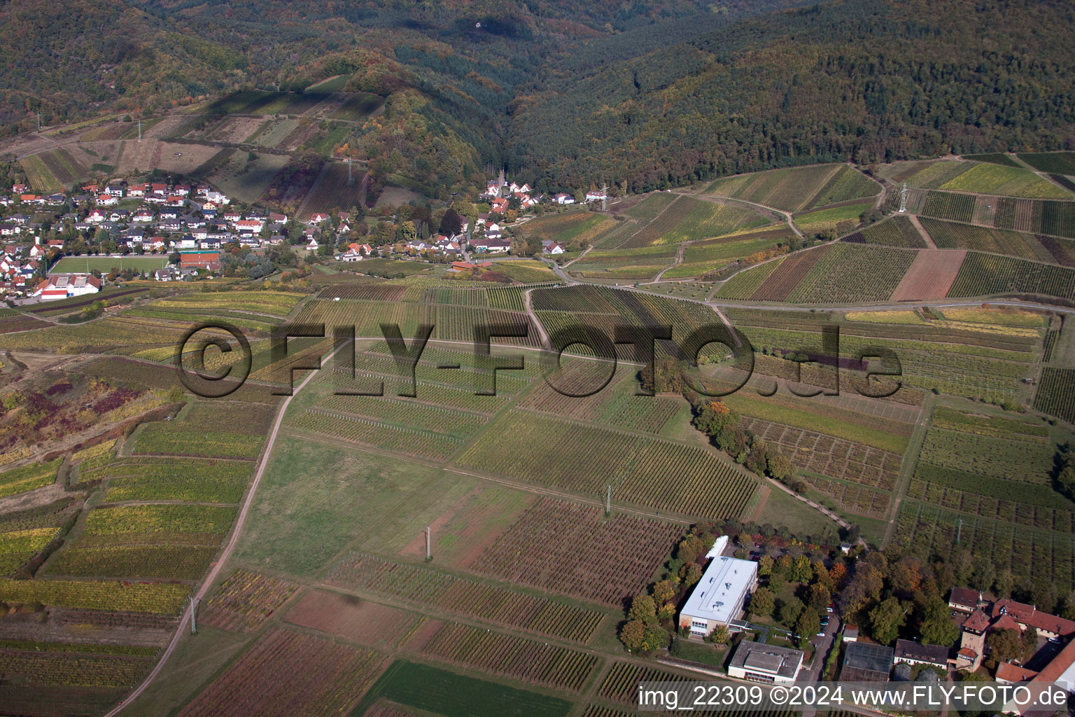 Siebeldingen dans le département Rhénanie-Palatinat, Allemagne vue d'en haut