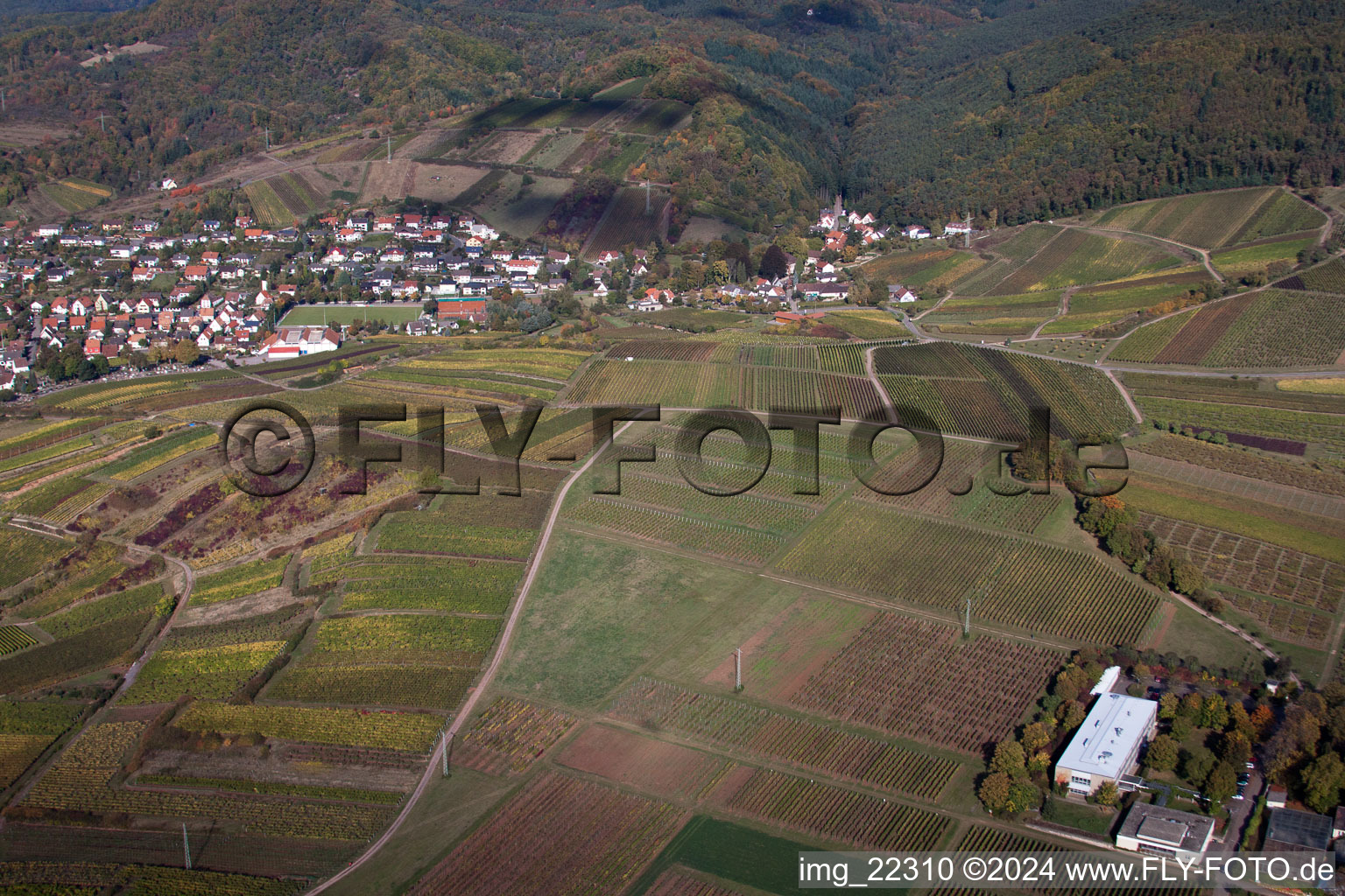 Birkweiler dans le département Rhénanie-Palatinat, Allemagne vue du ciel