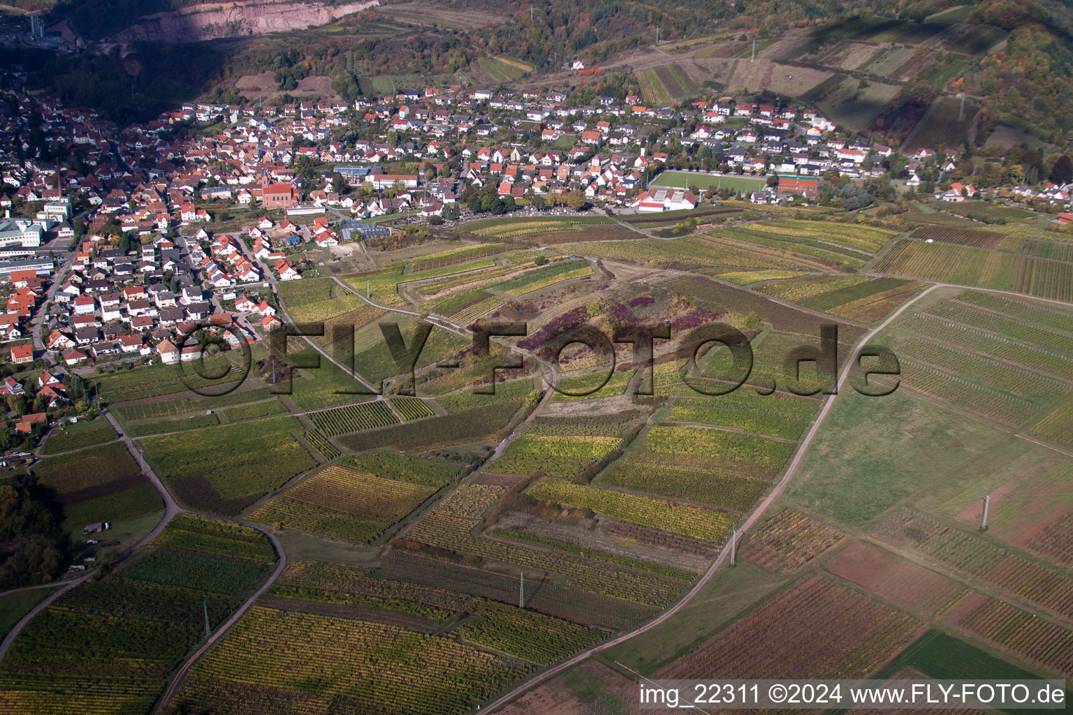 Vue aérienne de Albersweiler dans le département Rhénanie-Palatinat, Allemagne