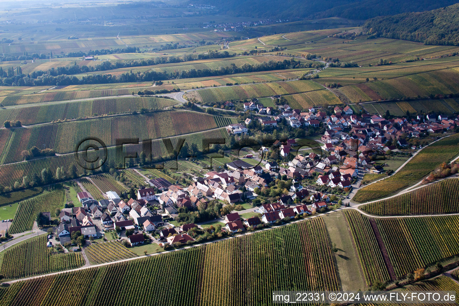 Vue aérienne de Birkweiler dans le département Rhénanie-Palatinat, Allemagne