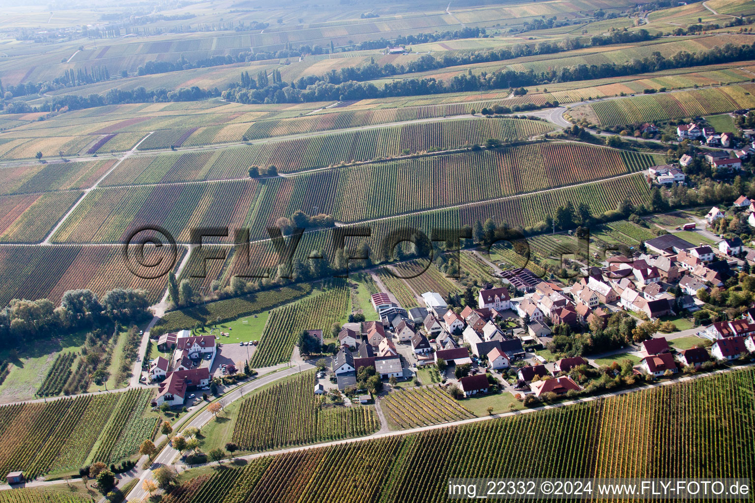 Photographie aérienne de Birkweiler dans le département Rhénanie-Palatinat, Allemagne