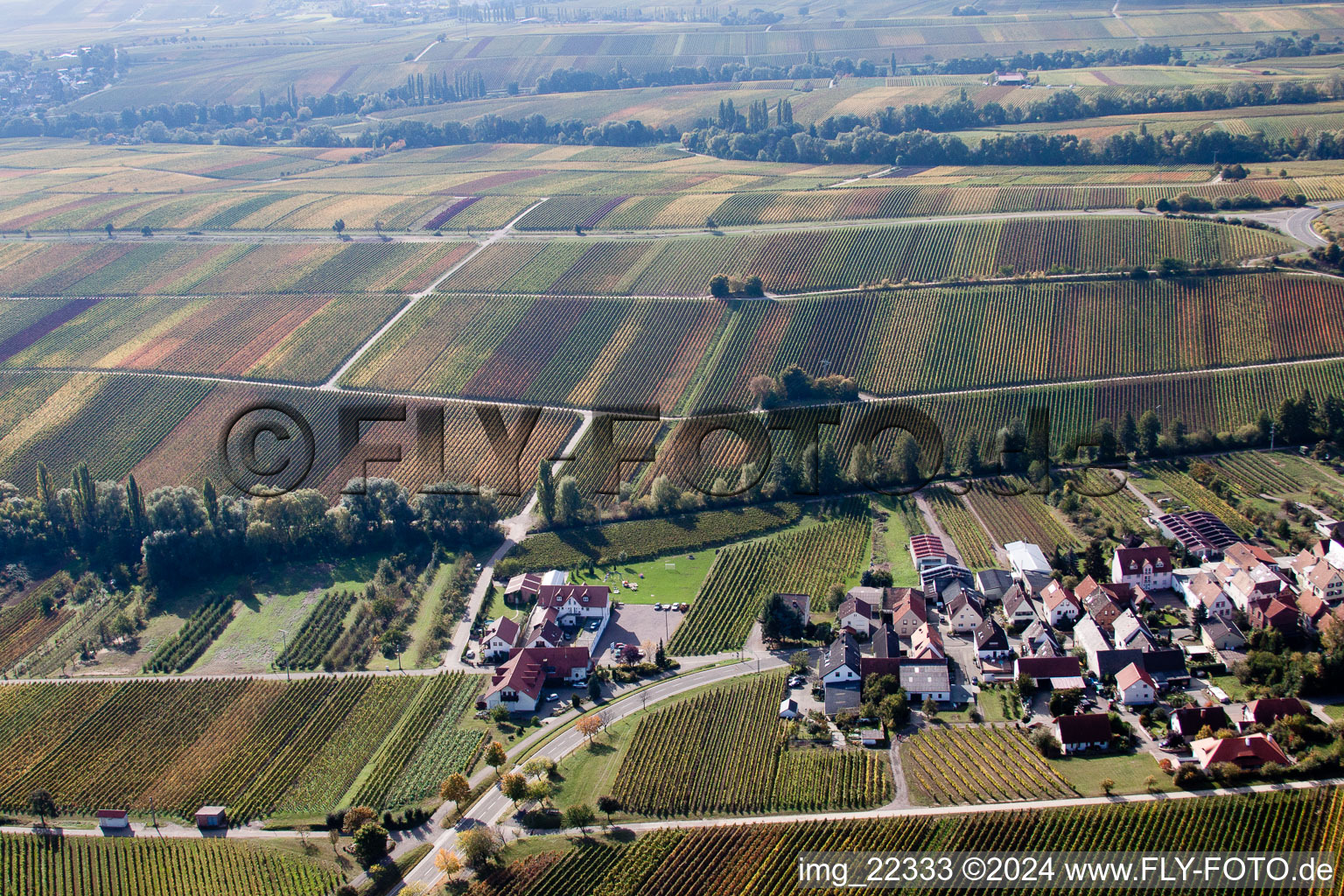 Vue oblique de Birkweiler dans le département Rhénanie-Palatinat, Allemagne