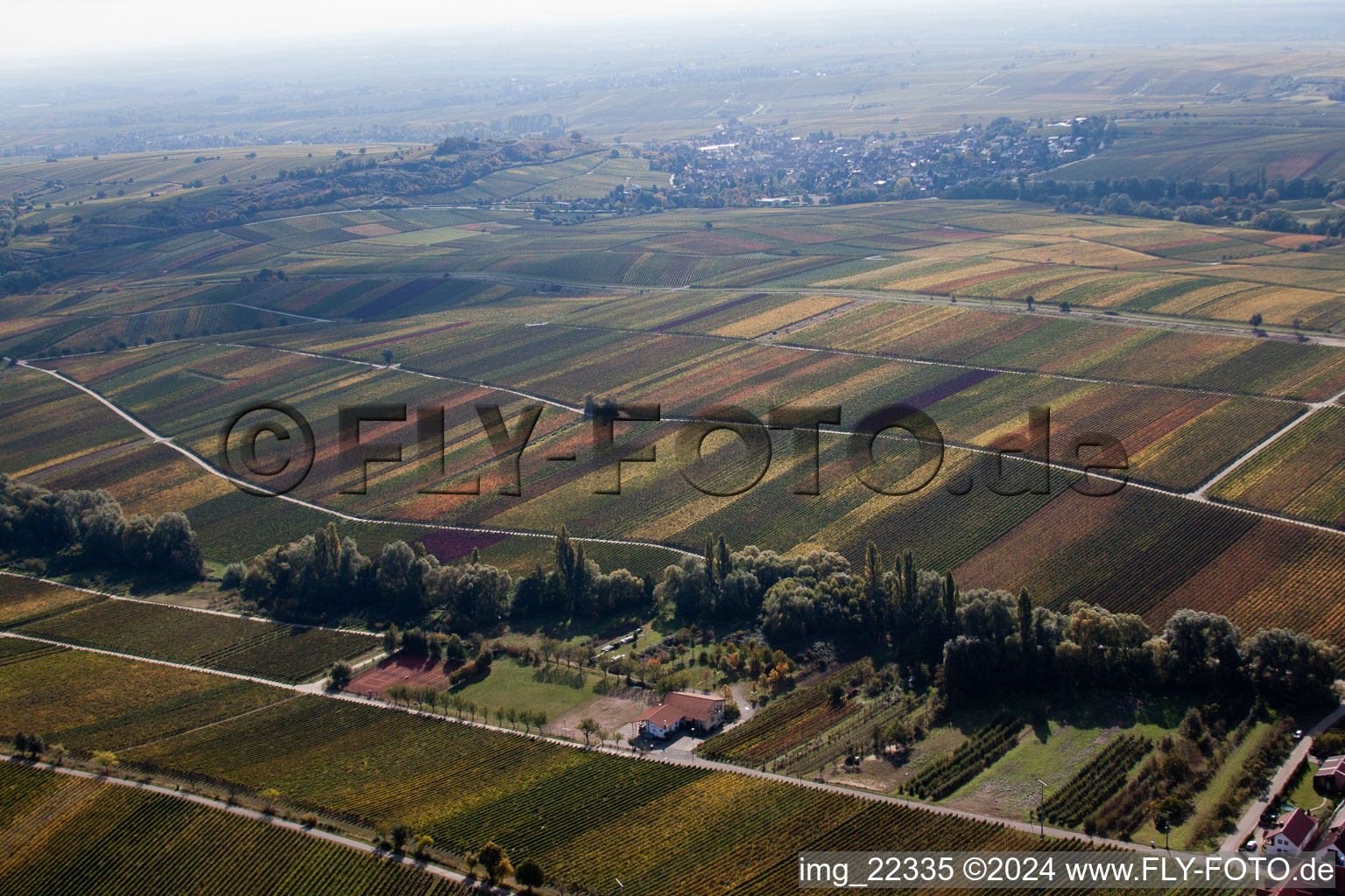 Vue aérienne de Paysage viticole des terroirs viticoles à Ranschbach dans le département Rhénanie-Palatinat, Allemagne