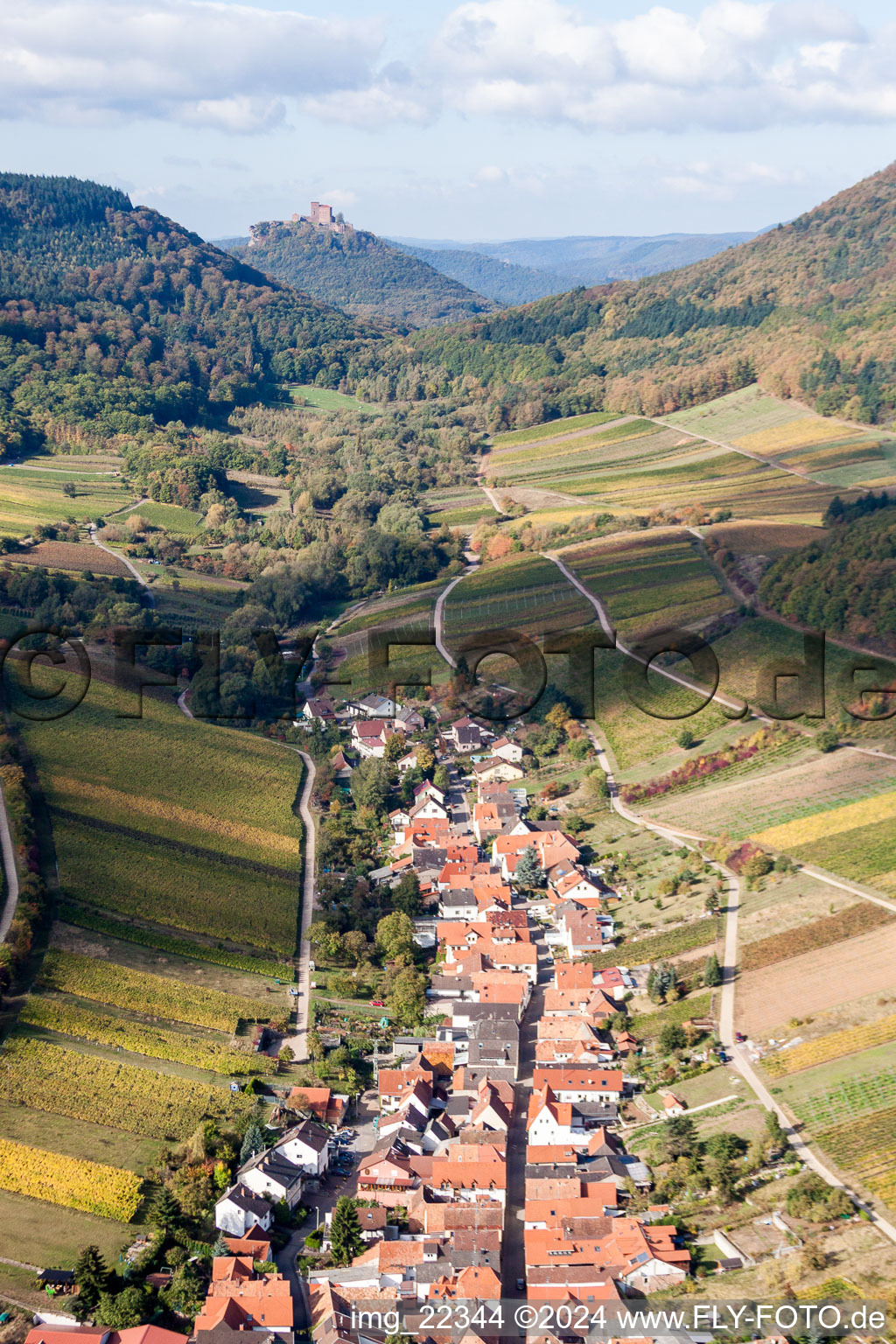 Vue aérienne de Village - vue entre les vignes et devant le château de Trifels à Ranschbach dans le département Rhénanie-Palatinat, Allemagne