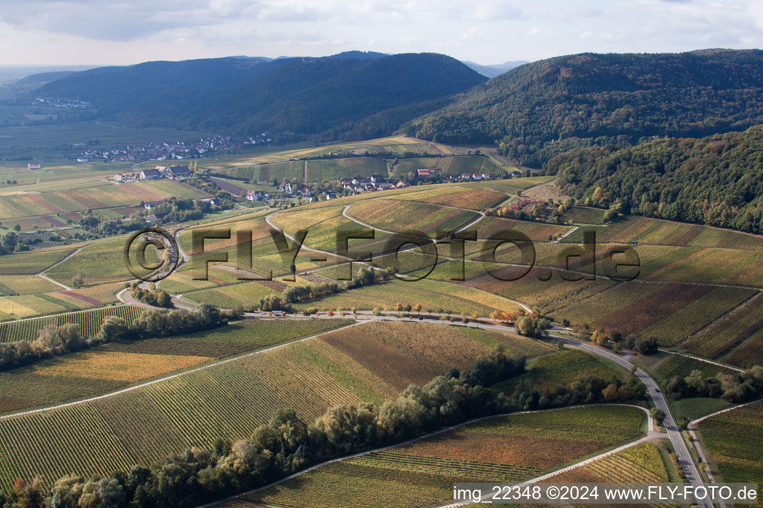 Ranschbach dans le département Rhénanie-Palatinat, Allemagne vue du ciel