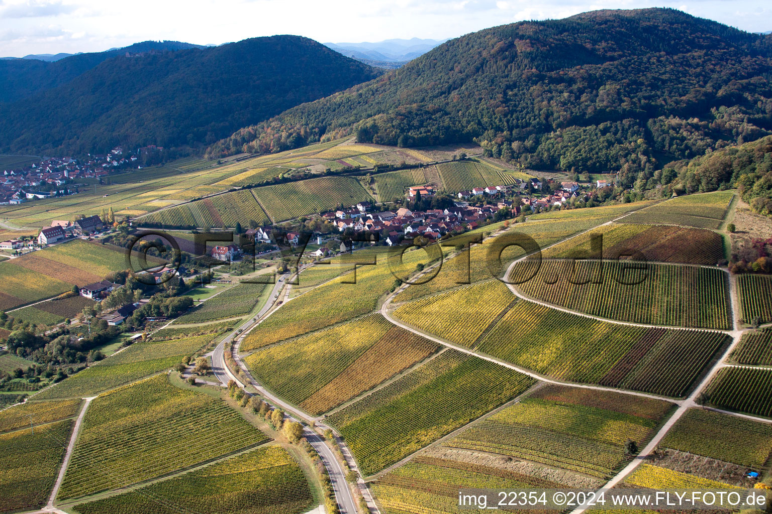 Photographie aérienne de Leinsweiler mètre à Leinsweiler dans le département Rhénanie-Palatinat, Allemagne