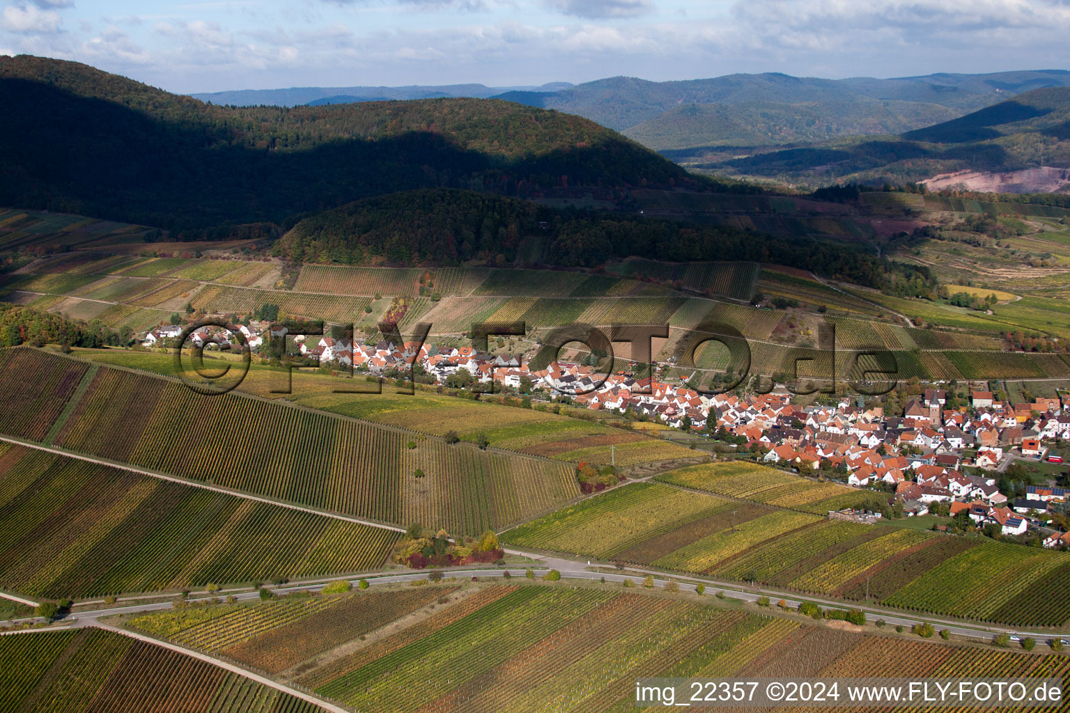 Photographie aérienne de Ranschbach dans le département Rhénanie-Palatinat, Allemagne