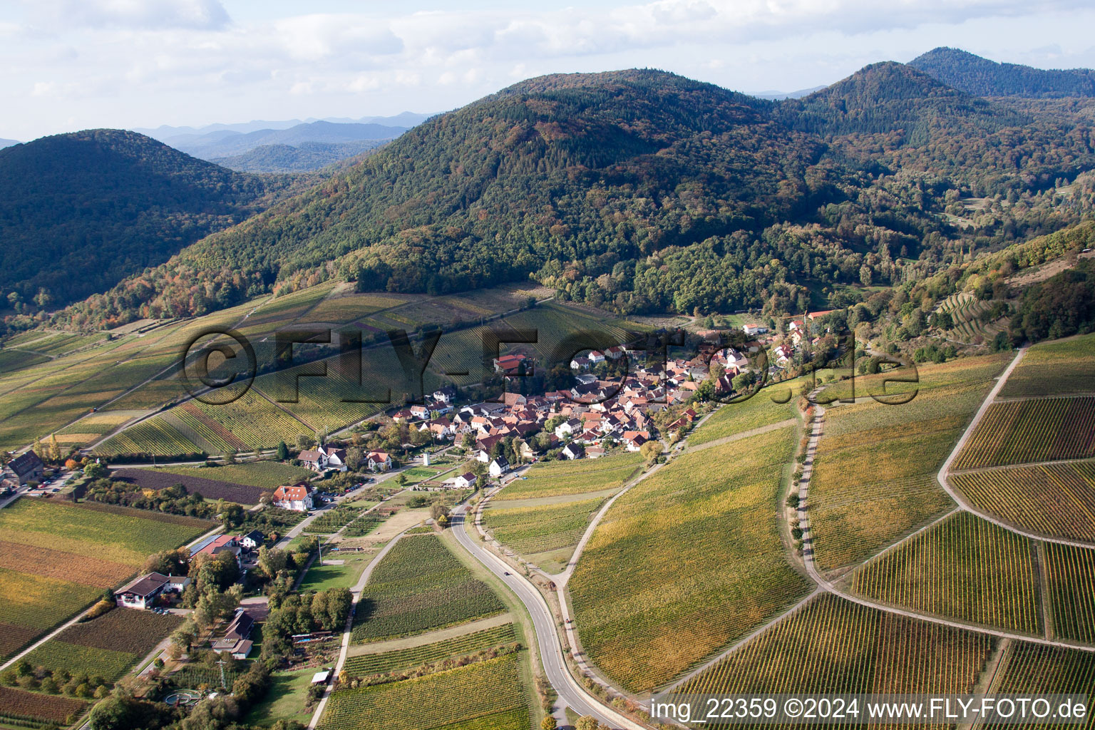 Vue oblique de Leinsweiler mètre à Leinsweiler dans le département Rhénanie-Palatinat, Allemagne