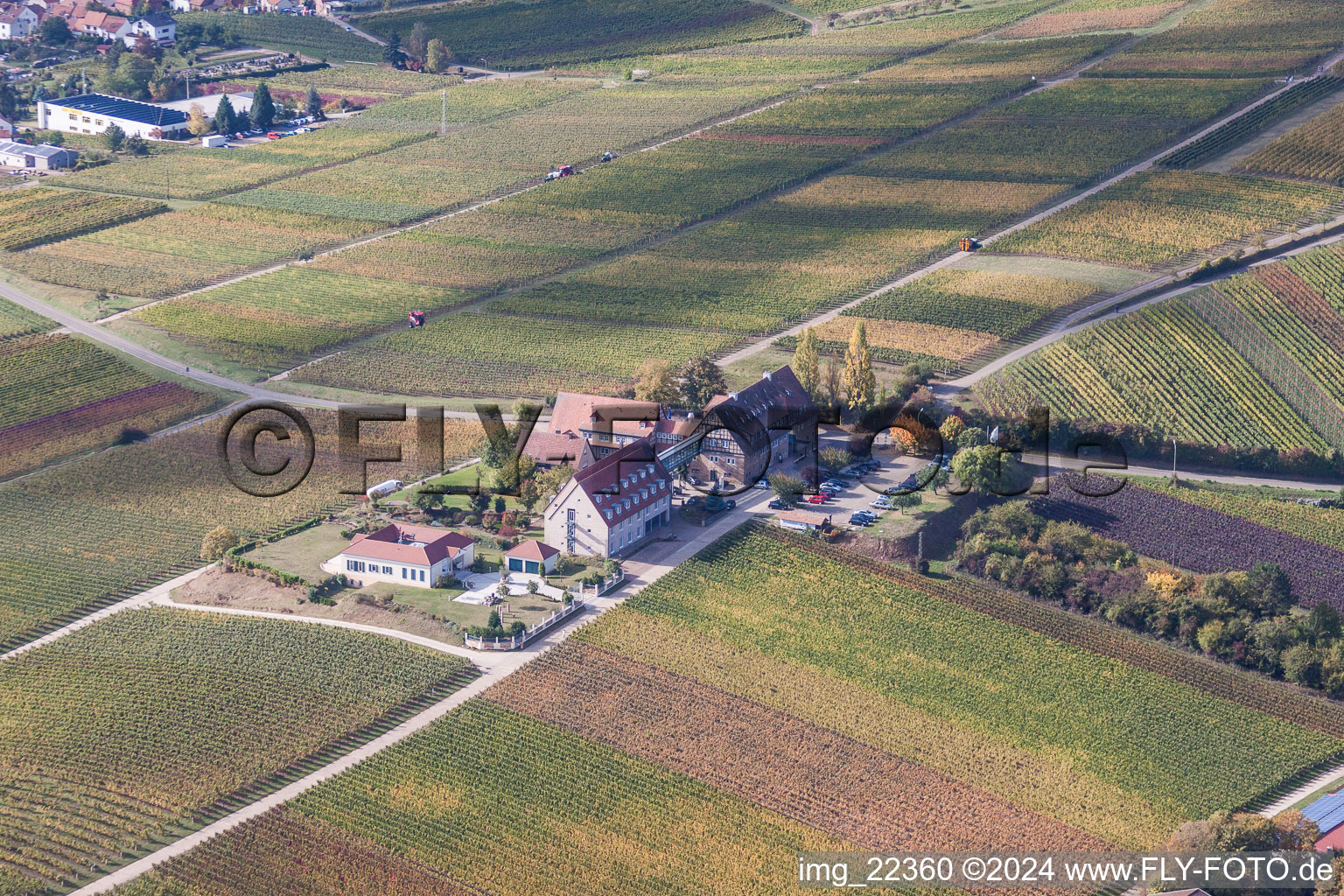 Photographie aérienne de Cour à Leinsweiler dans le département Rhénanie-Palatinat, Allemagne