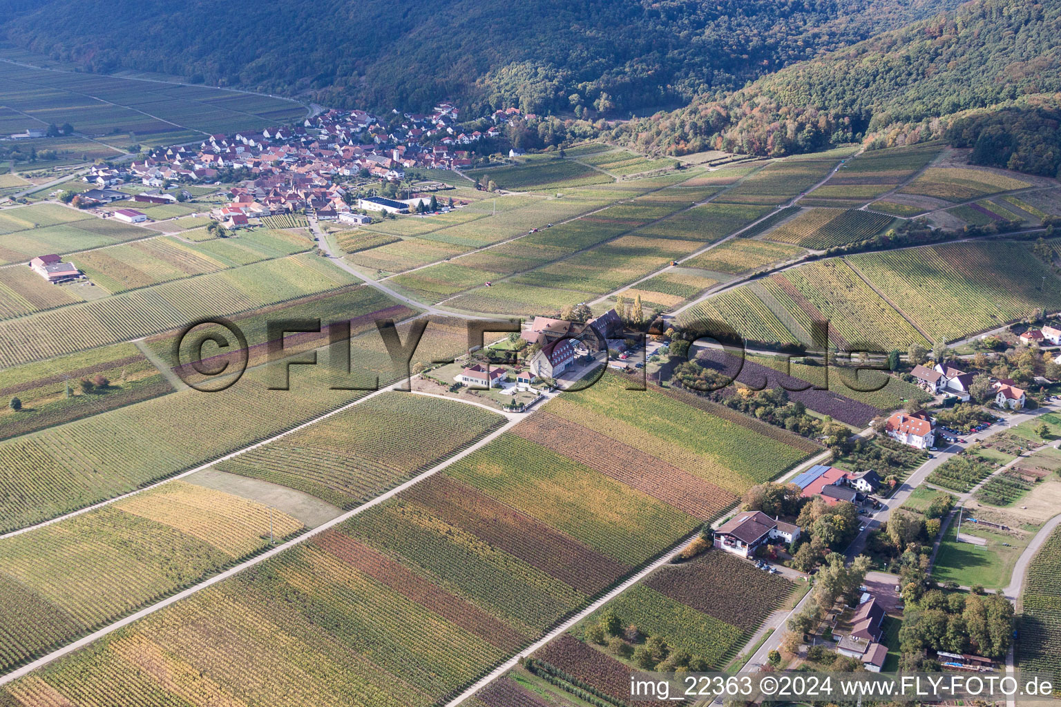 Vue oblique de Cour à Leinsweiler dans le département Rhénanie-Palatinat, Allemagne