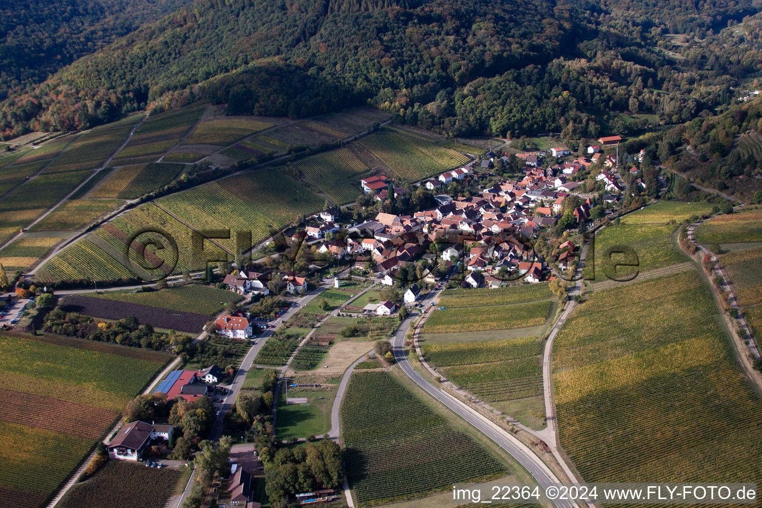 Leinsweiler dans le département Rhénanie-Palatinat, Allemagne du point de vue du drone