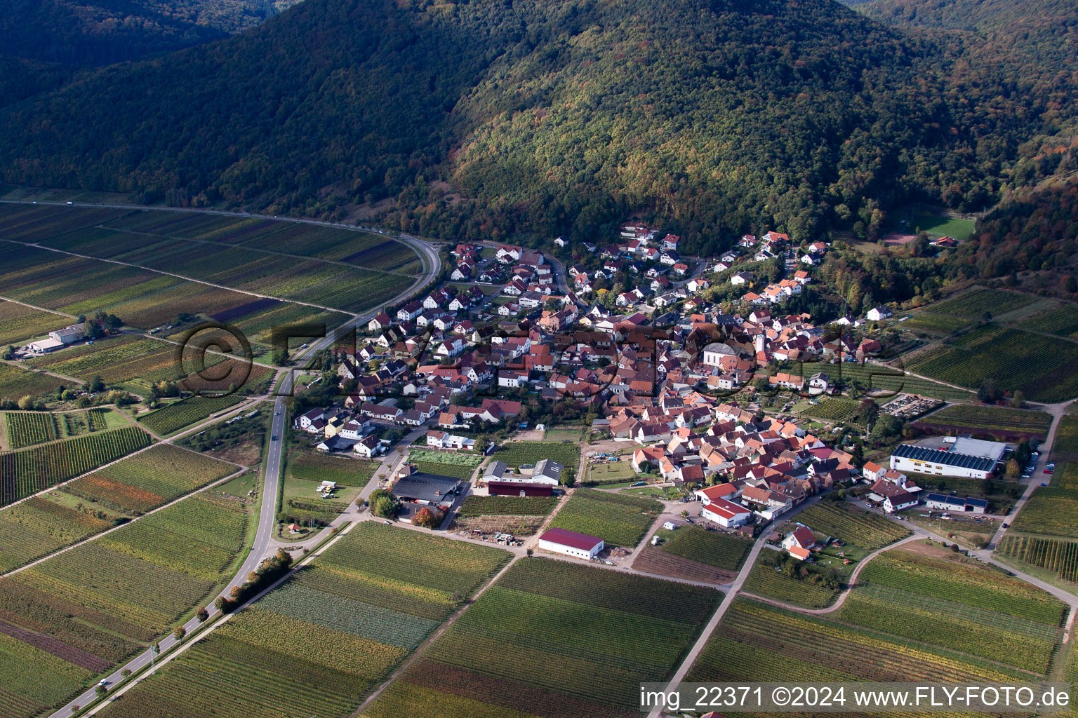 Eschbach dans le département Rhénanie-Palatinat, Allemagne vue d'en haut