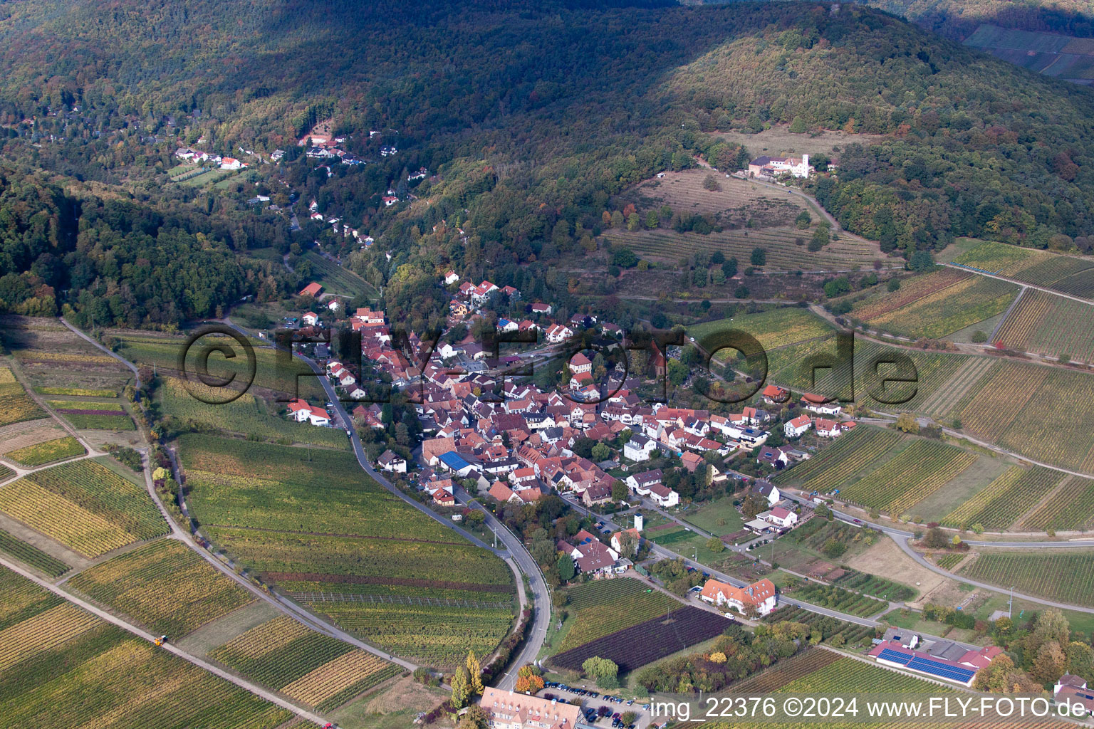 Photographie aérienne de Leinsweiler dans le département Rhénanie-Palatinat, Allemagne