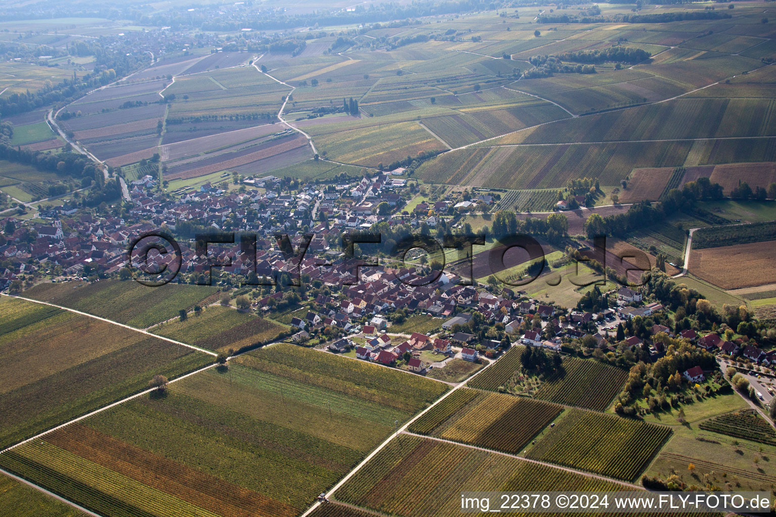 Image drone de Göcklingen dans le département Rhénanie-Palatinat, Allemagne