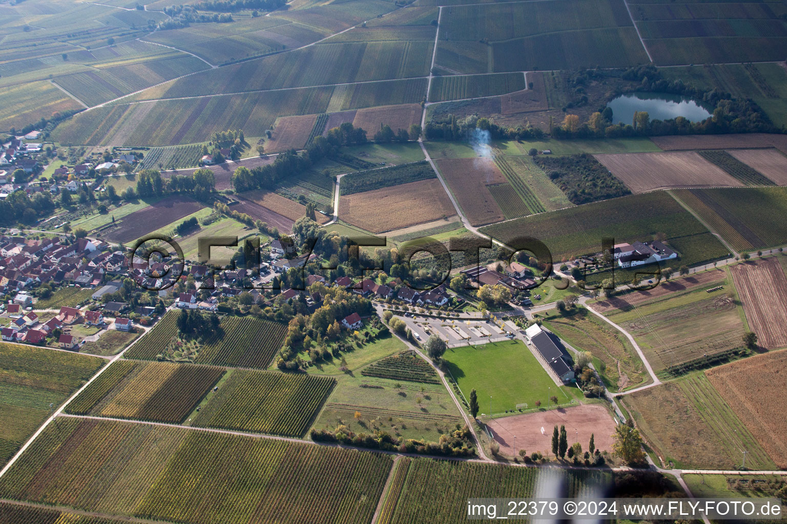 Göcklingen dans le département Rhénanie-Palatinat, Allemagne du point de vue du drone