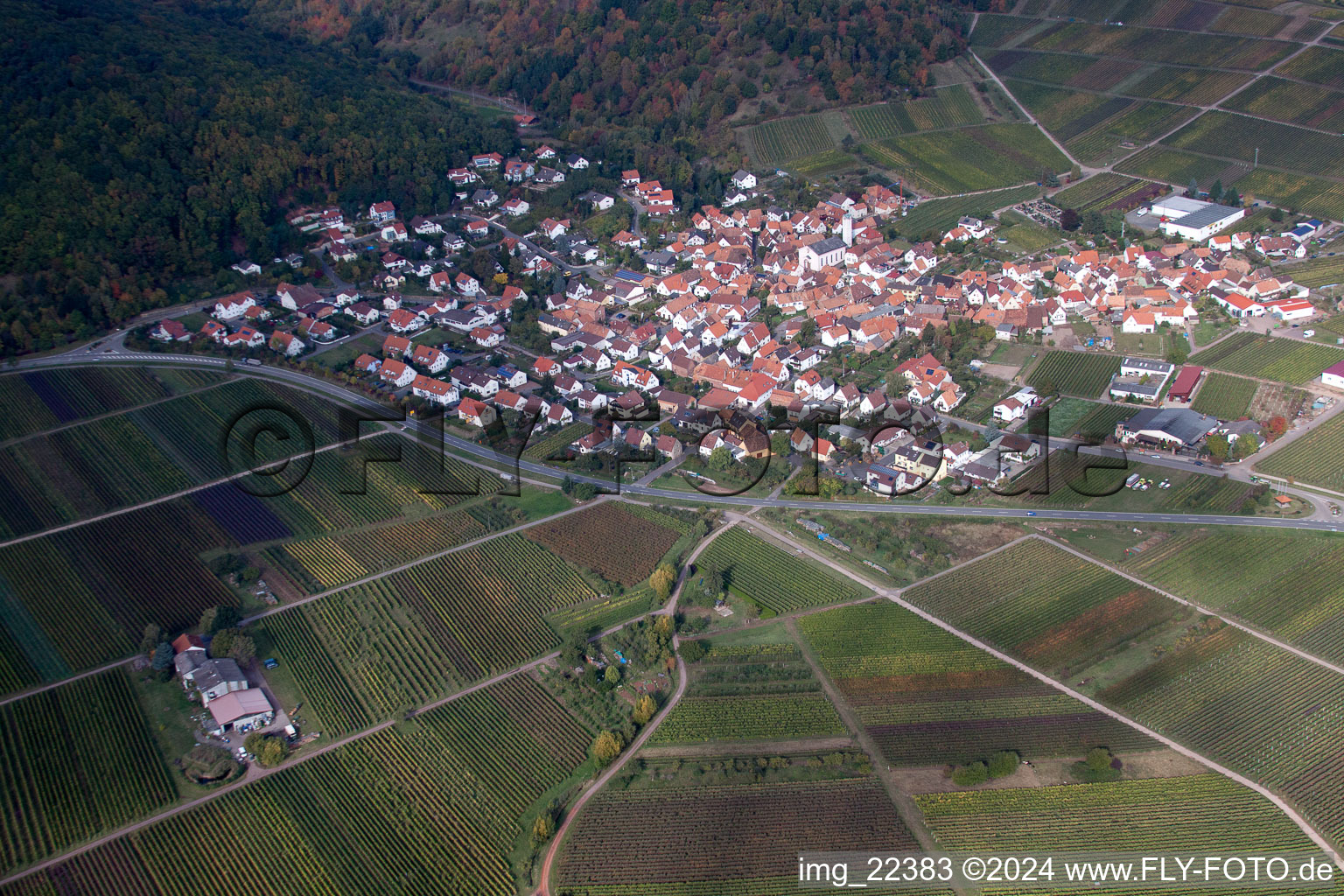 Vue d'oiseau de Eschbach dans le département Rhénanie-Palatinat, Allemagne