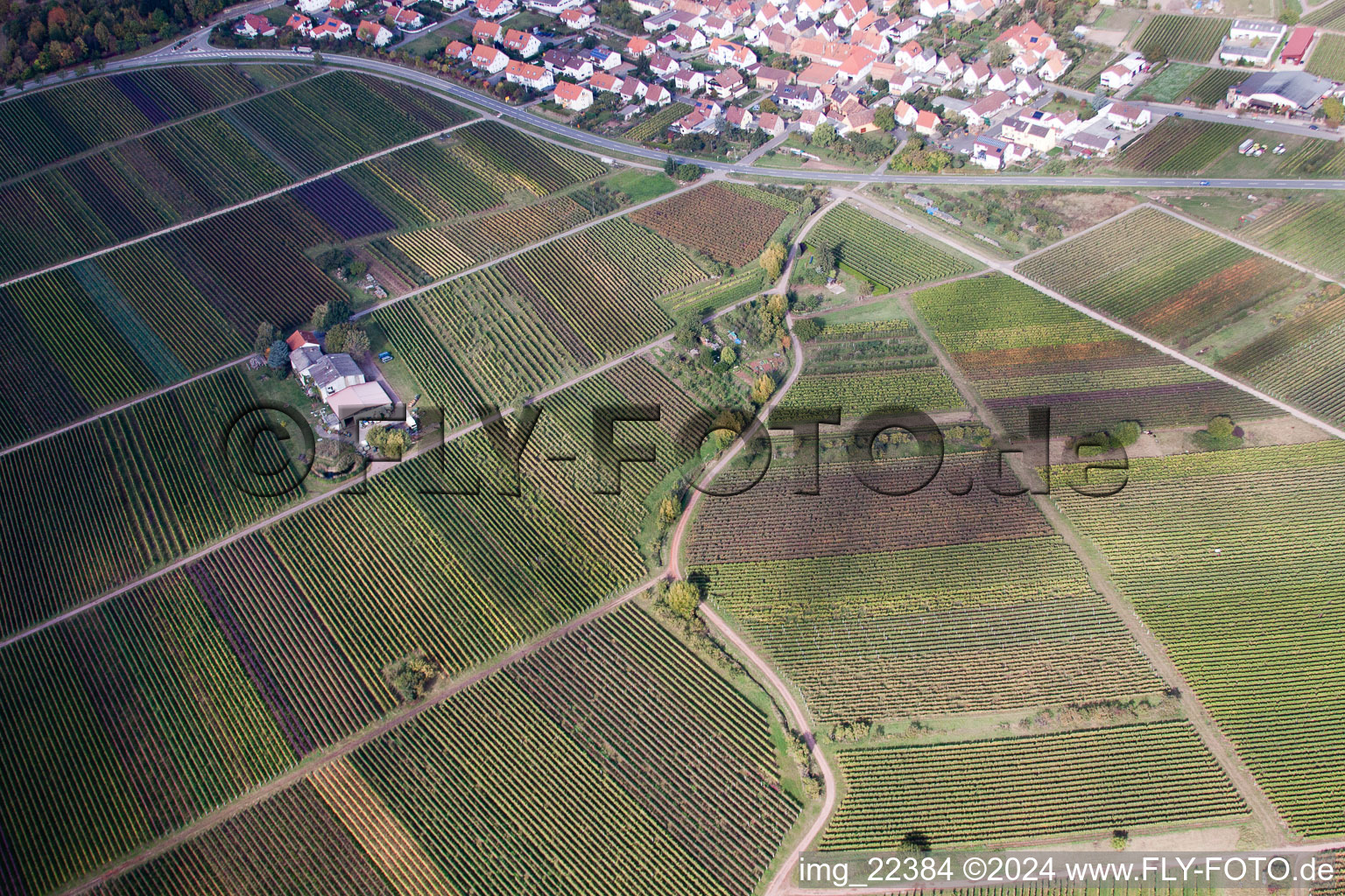 Eschbach dans le département Rhénanie-Palatinat, Allemagne vue du ciel