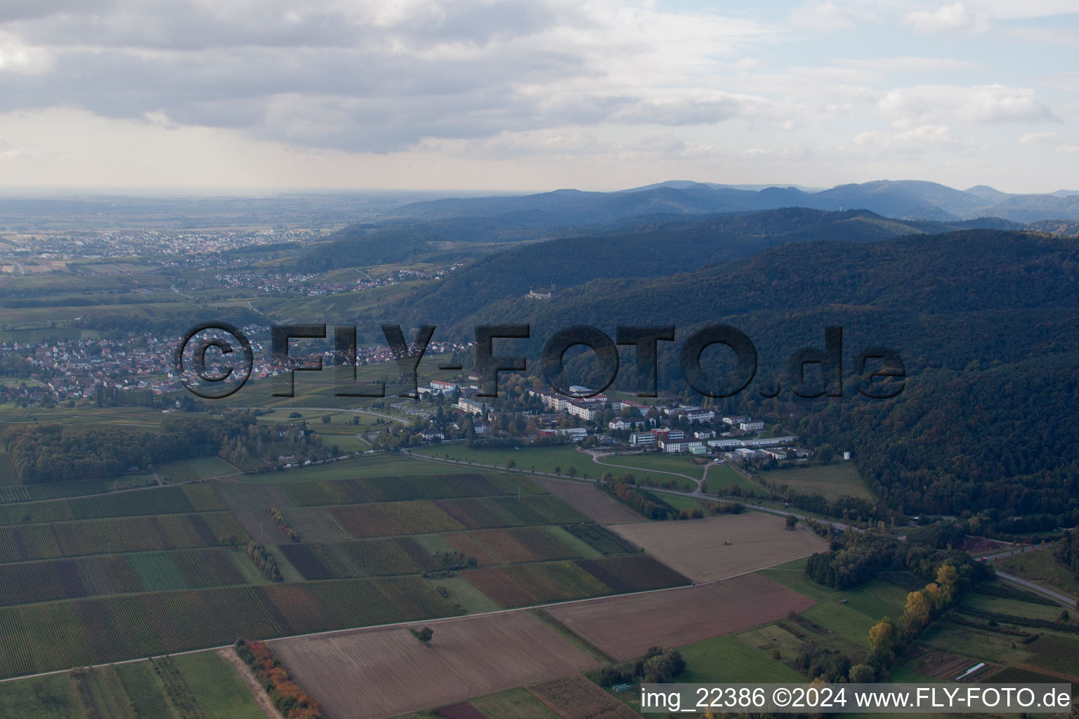 Vue d'oiseau de Klingenmünster dans le département Rhénanie-Palatinat, Allemagne