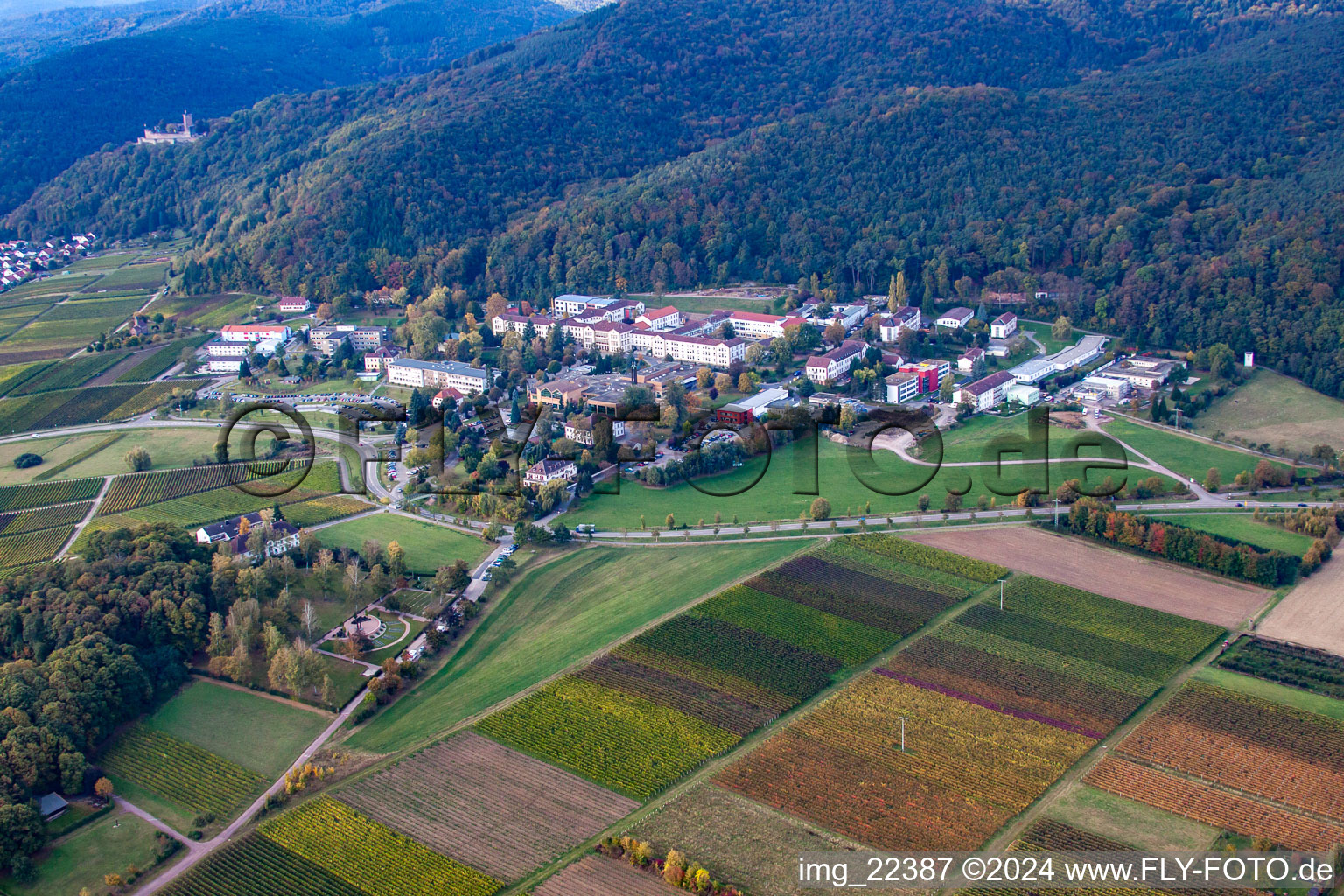 Vue oblique de Clinique du Palatinat à Klingenmünster dans le département Rhénanie-Palatinat, Allemagne