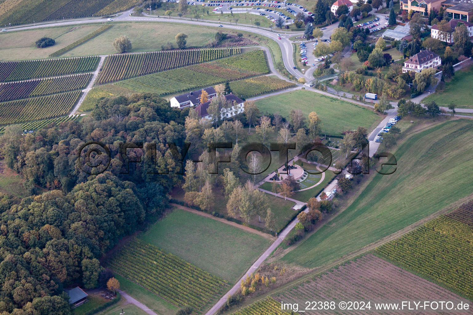 Klingenmünster dans le département Rhénanie-Palatinat, Allemagne vue du ciel