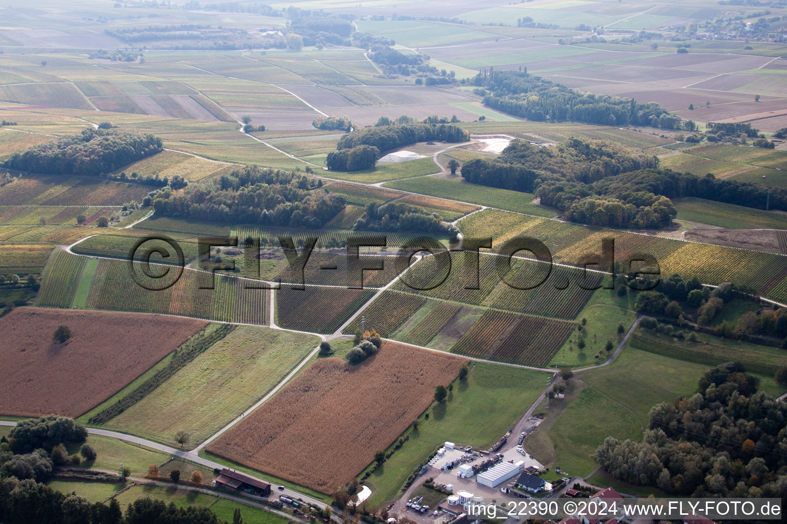 Enregistrement par drone de Klingenmünster dans le département Rhénanie-Palatinat, Allemagne