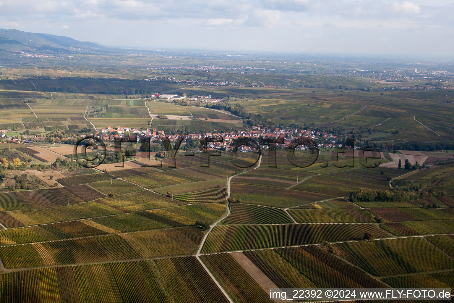 Klingenmünster dans le département Rhénanie-Palatinat, Allemagne du point de vue du drone