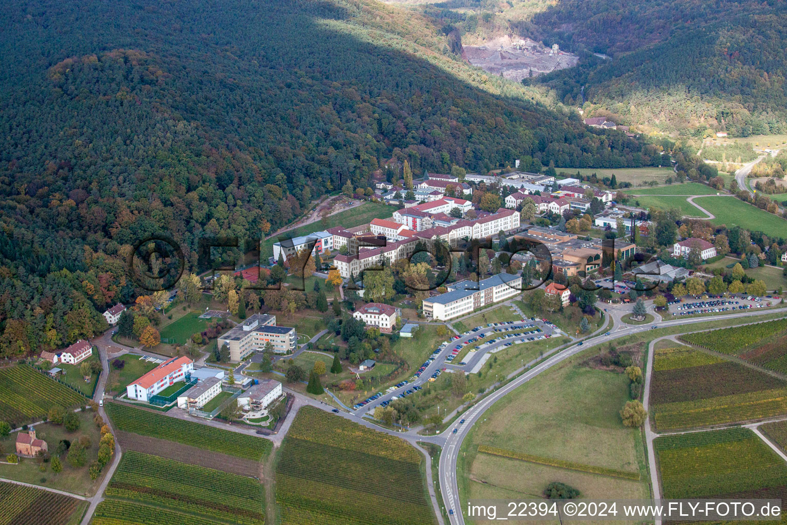 Photographie aérienne de Terrain hospitalier de la clinique de psychiatrie et de psychothérapie pour enfants et adolescents du quartier Pfalzklinik Landeck à Klingenmünster dans le département Rhénanie-Palatinat, Allemagne