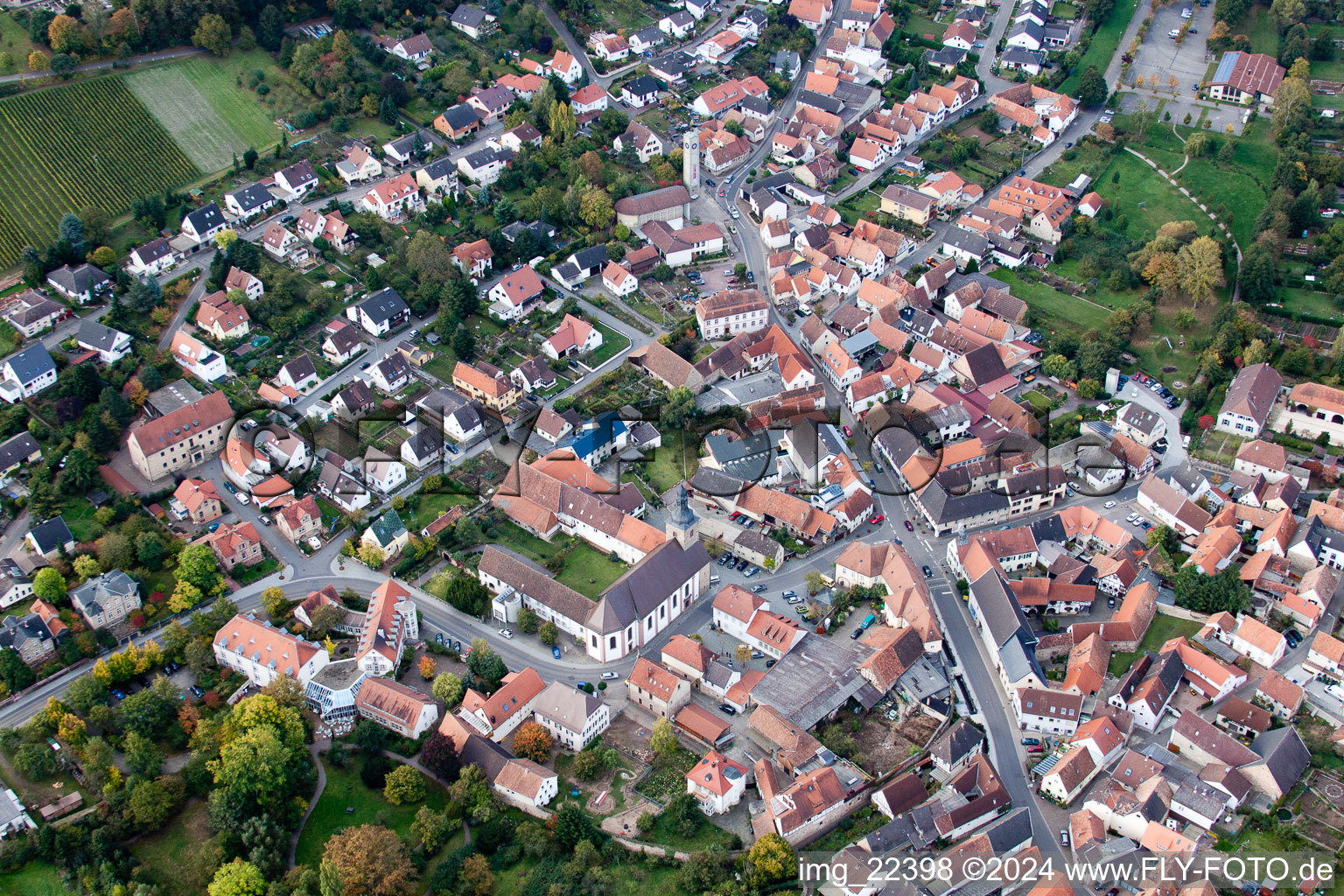 Klingenmünster dans le département Rhénanie-Palatinat, Allemagne vu d'un drone