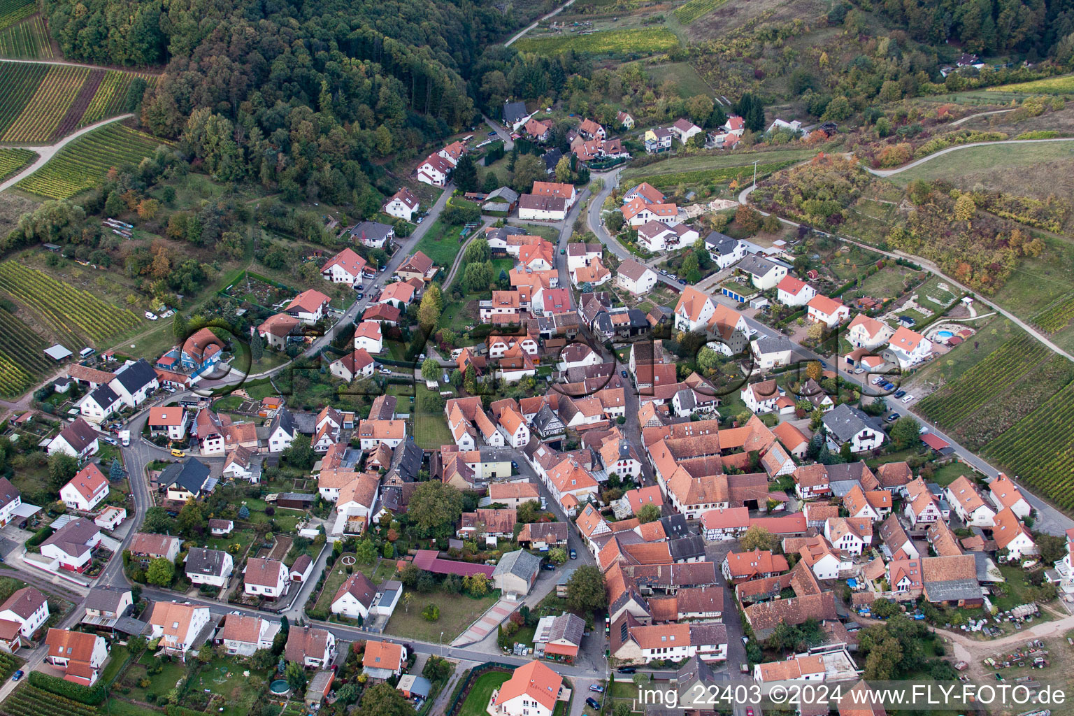 Vue aérienne de Vue sur le village à le quartier Gleishorbach in Gleiszellen-Gleishorbach dans le département Rhénanie-Palatinat, Allemagne