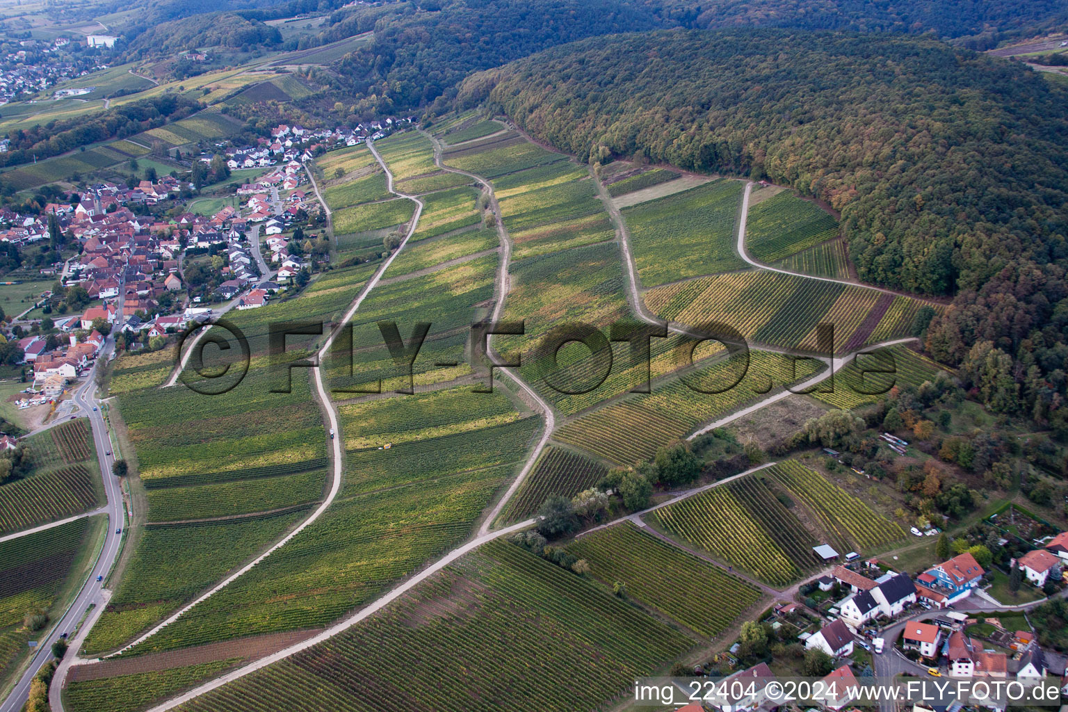 Vue aérienne de Quartier Pleisweiler in Pleisweiler-Oberhofen dans le département Rhénanie-Palatinat, Allemagne