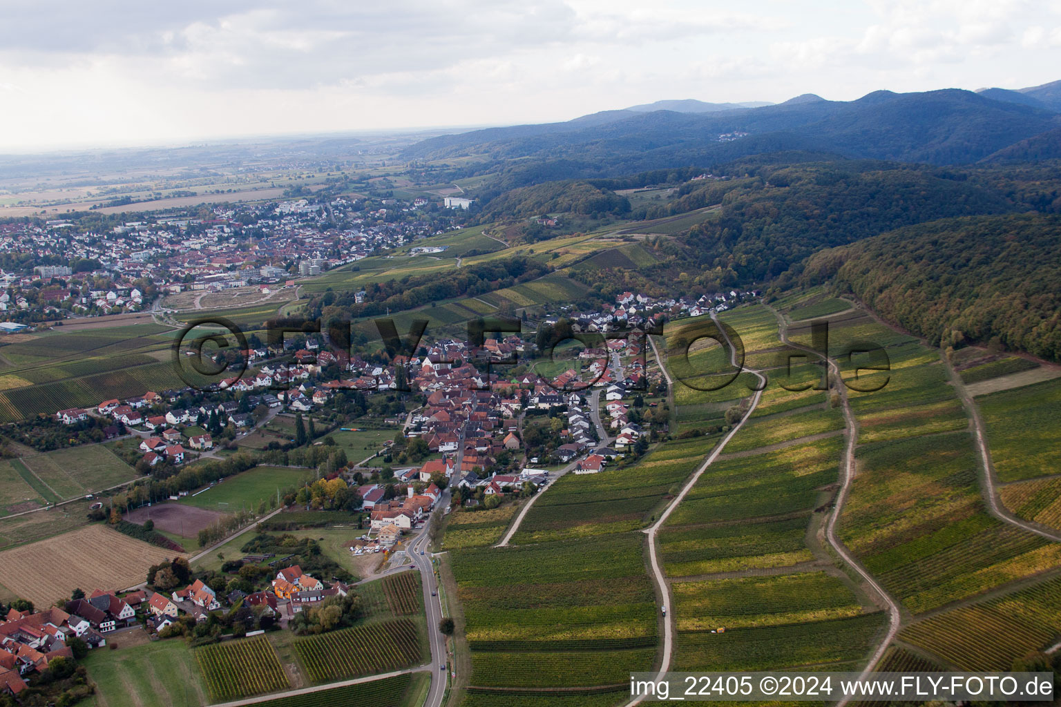 Photographie aérienne de Quartier Pleisweiler in Pleisweiler-Oberhofen dans le département Rhénanie-Palatinat, Allemagne