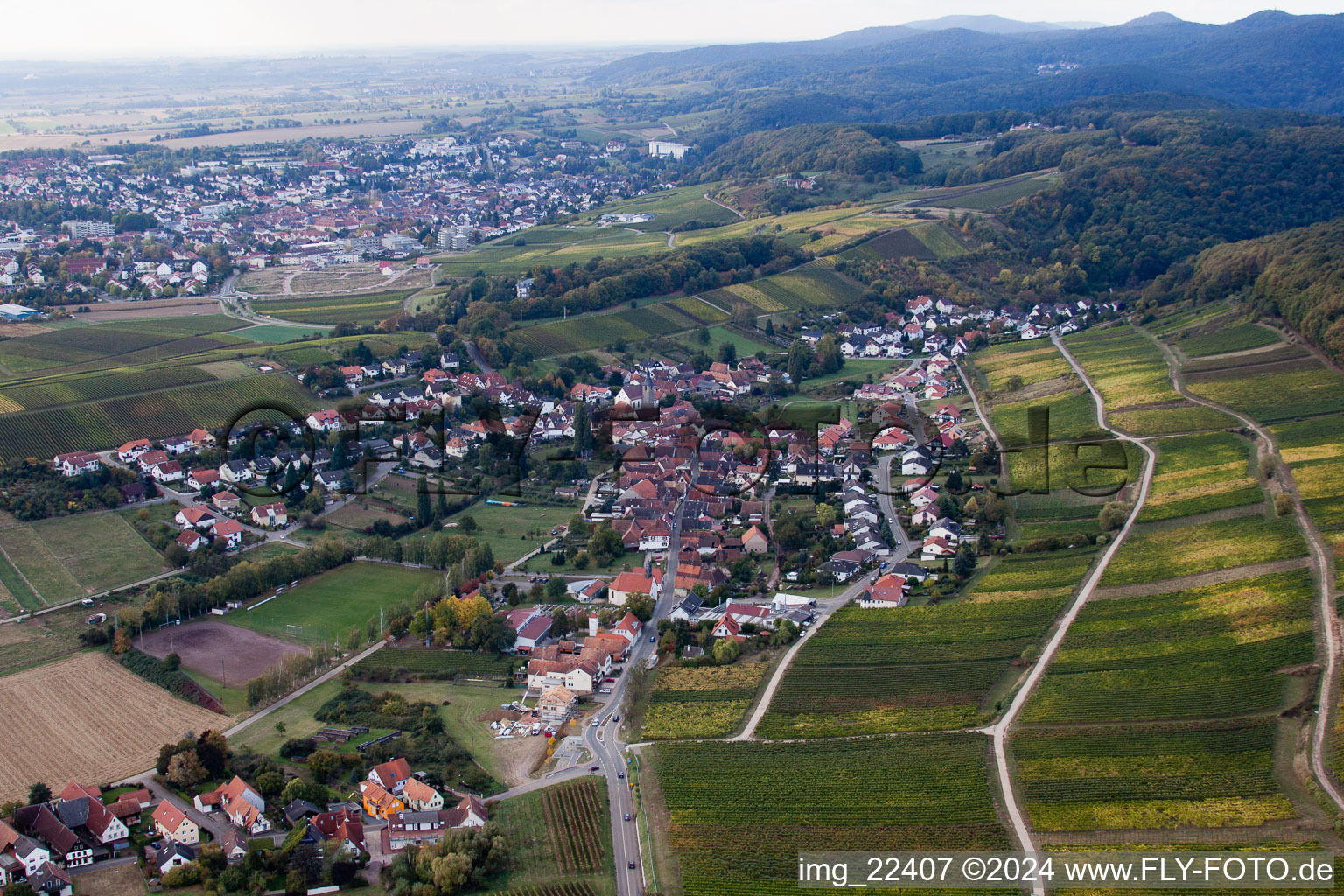 Vue oblique de Quartier Pleisweiler in Pleisweiler-Oberhofen dans le département Rhénanie-Palatinat, Allemagne