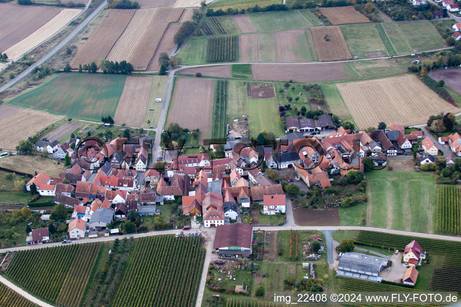 Quartier Oberhofen in Pleisweiler-Oberhofen dans le département Rhénanie-Palatinat, Allemagne depuis l'avion