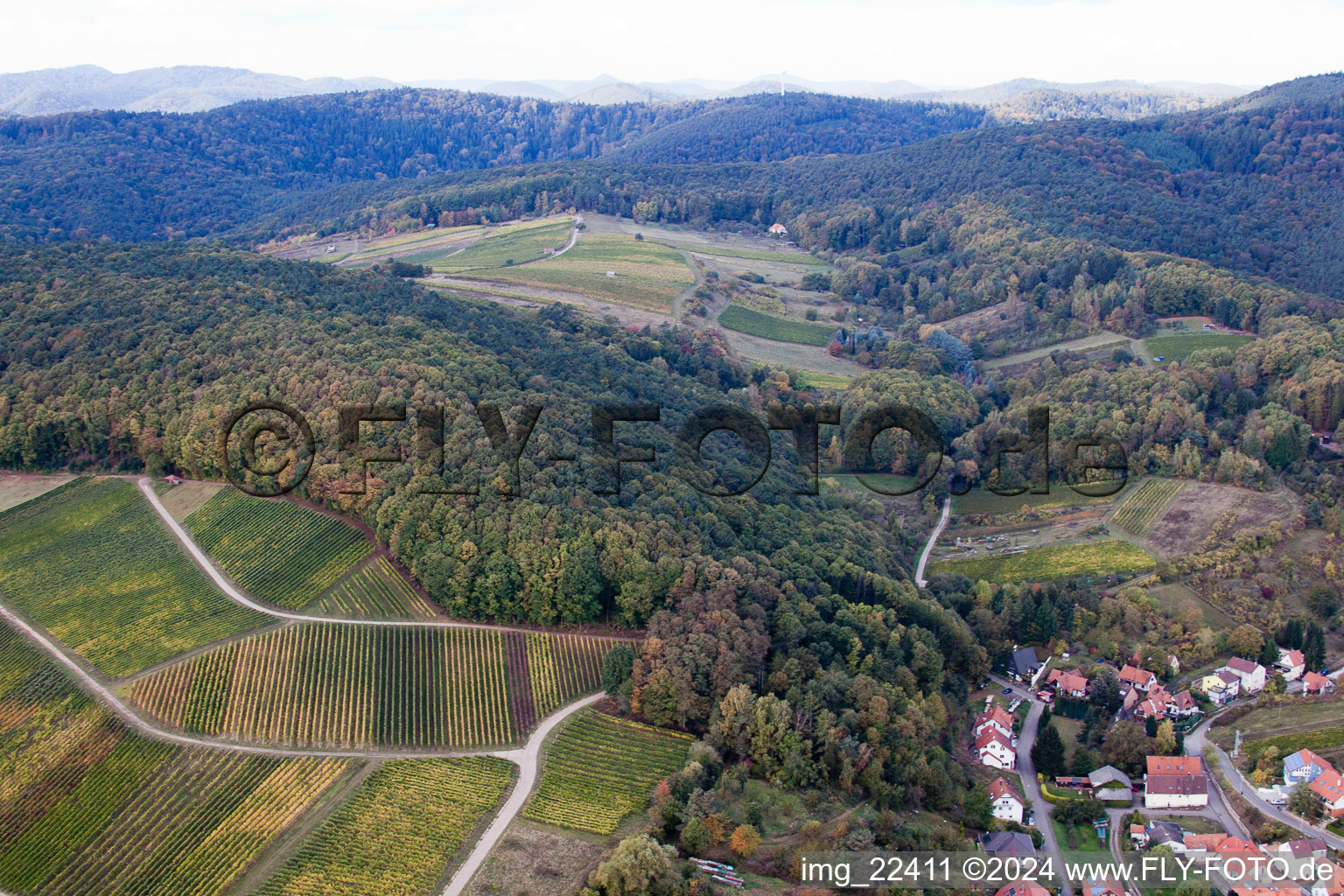 Quartier Pleisweiler in Pleisweiler-Oberhofen dans le département Rhénanie-Palatinat, Allemagne d'en haut