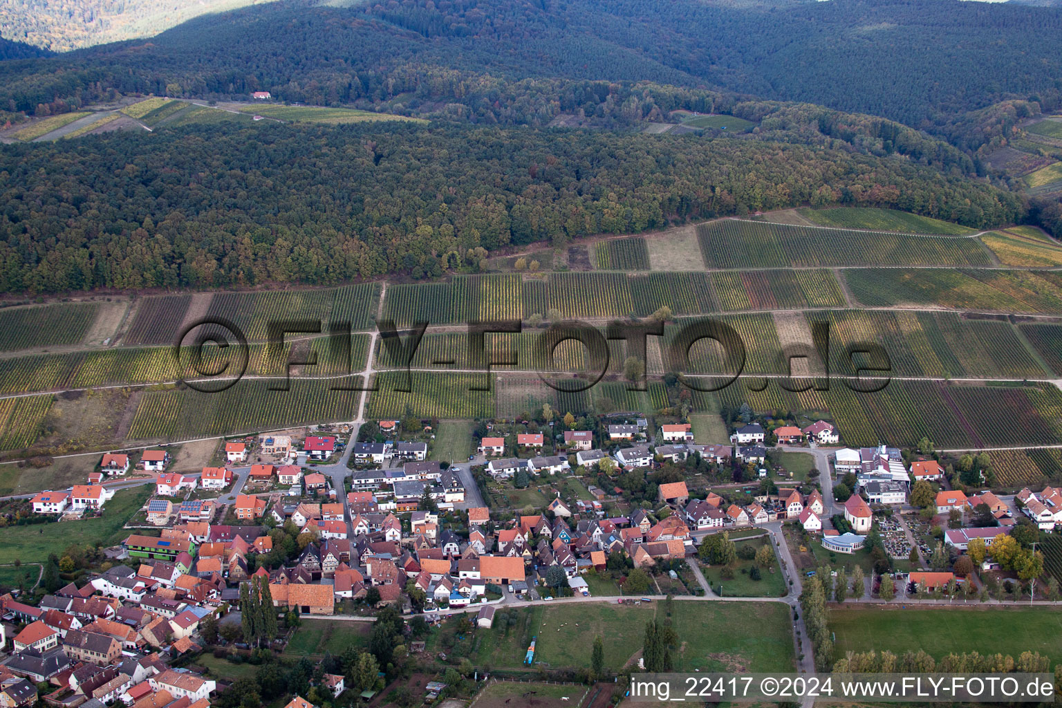 Quartier Pleisweiler in Pleisweiler-Oberhofen dans le département Rhénanie-Palatinat, Allemagne depuis l'avion