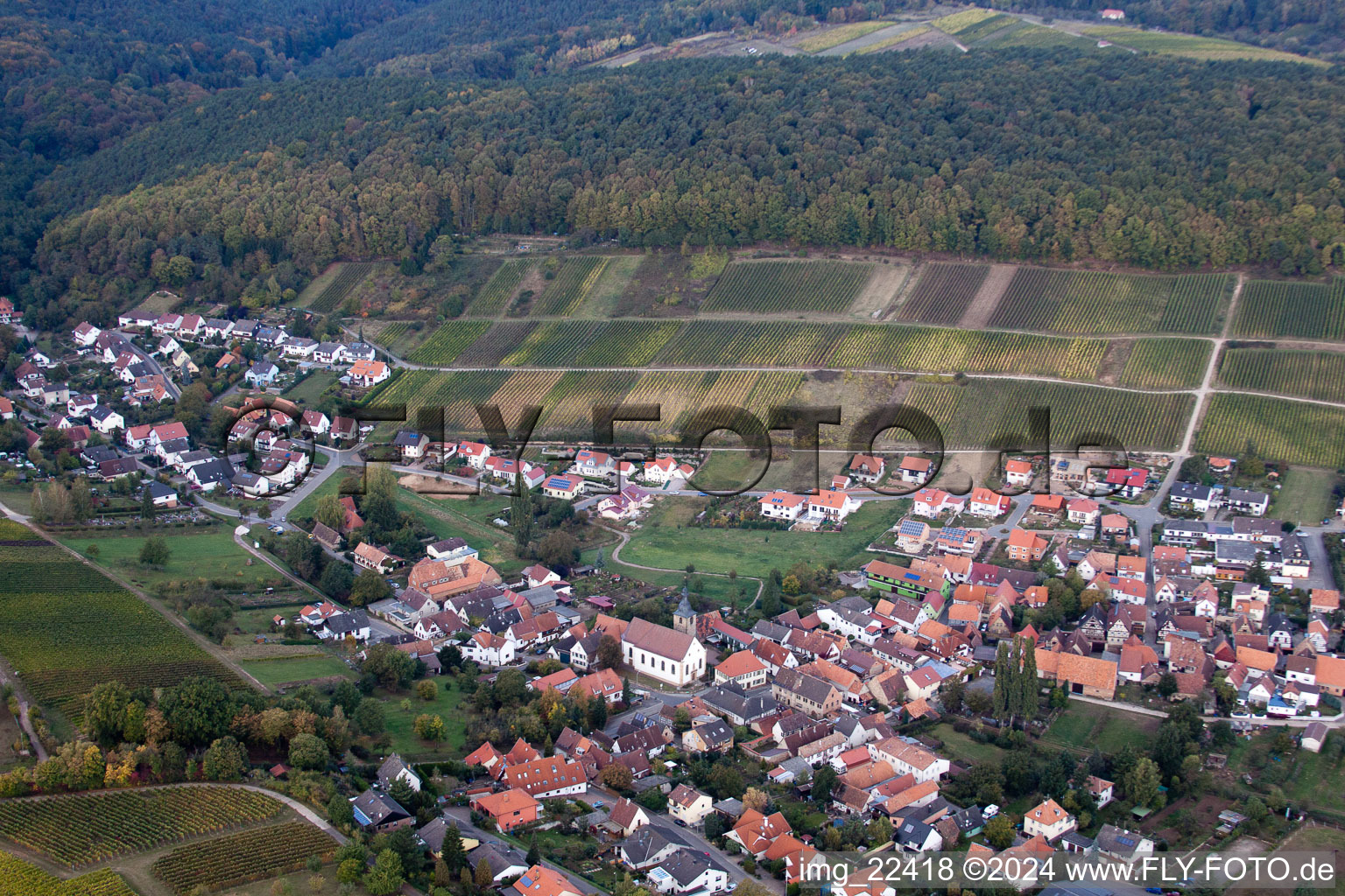 Vue d'oiseau de Quartier Pleisweiler in Pleisweiler-Oberhofen dans le département Rhénanie-Palatinat, Allemagne