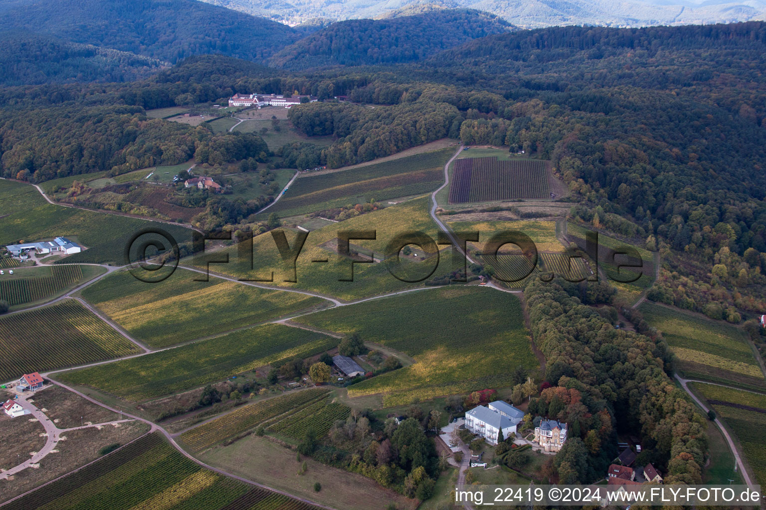 Vue aérienne de Bad Bergzabern dans le département Rhénanie-Palatinat, Allemagne