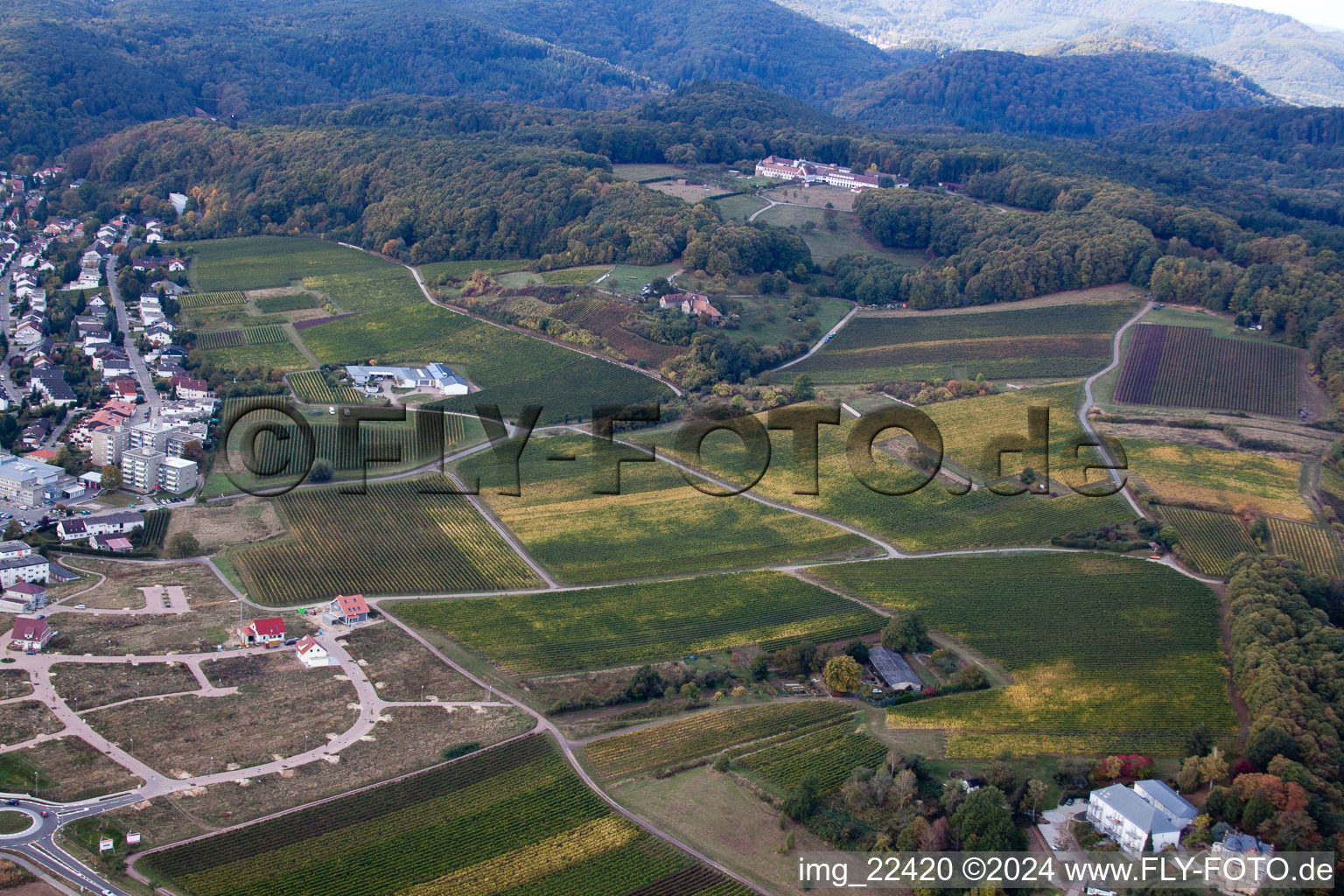 Vue aérienne de Bad Bergzabern dans le département Rhénanie-Palatinat, Allemagne