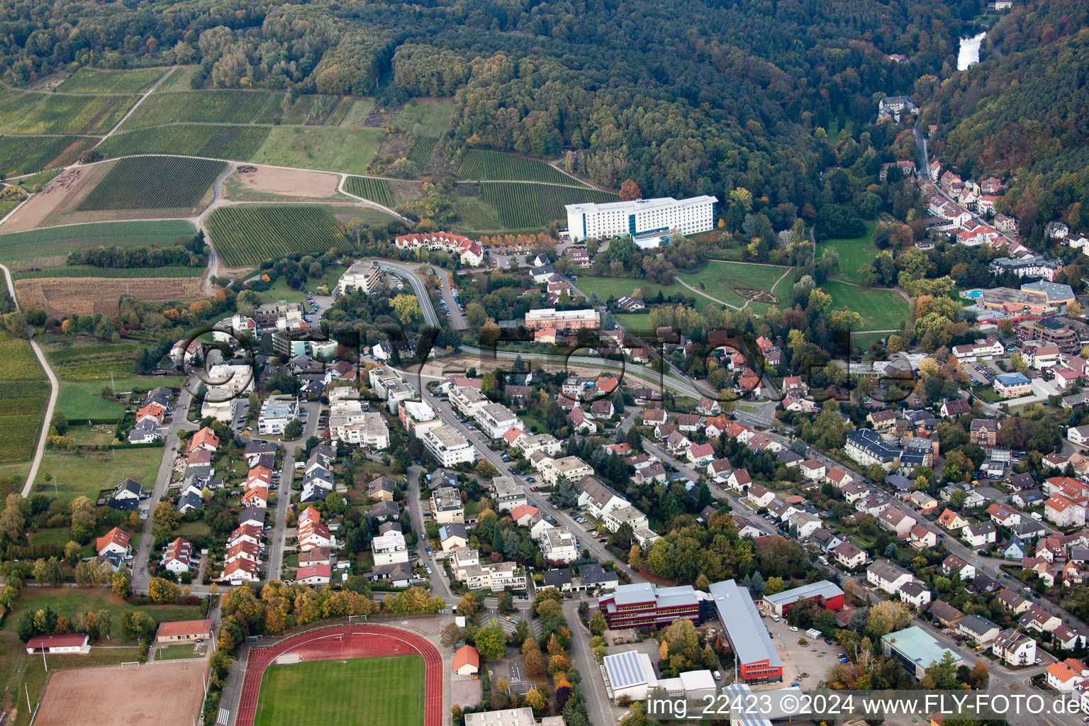 Vue oblique de Bad Bergzabern dans le département Rhénanie-Palatinat, Allemagne