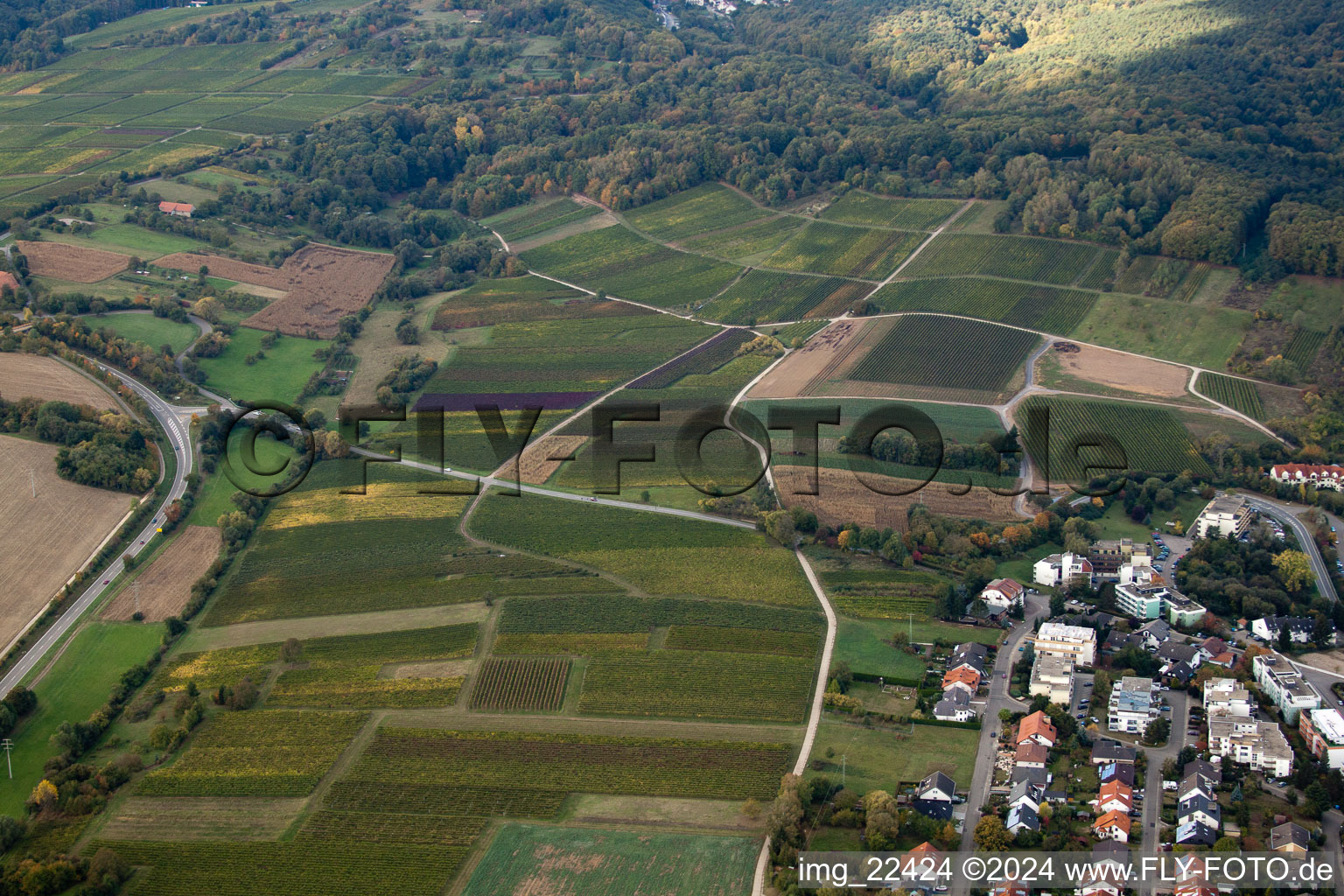 Bad Bergzabern dans le département Rhénanie-Palatinat, Allemagne d'en haut