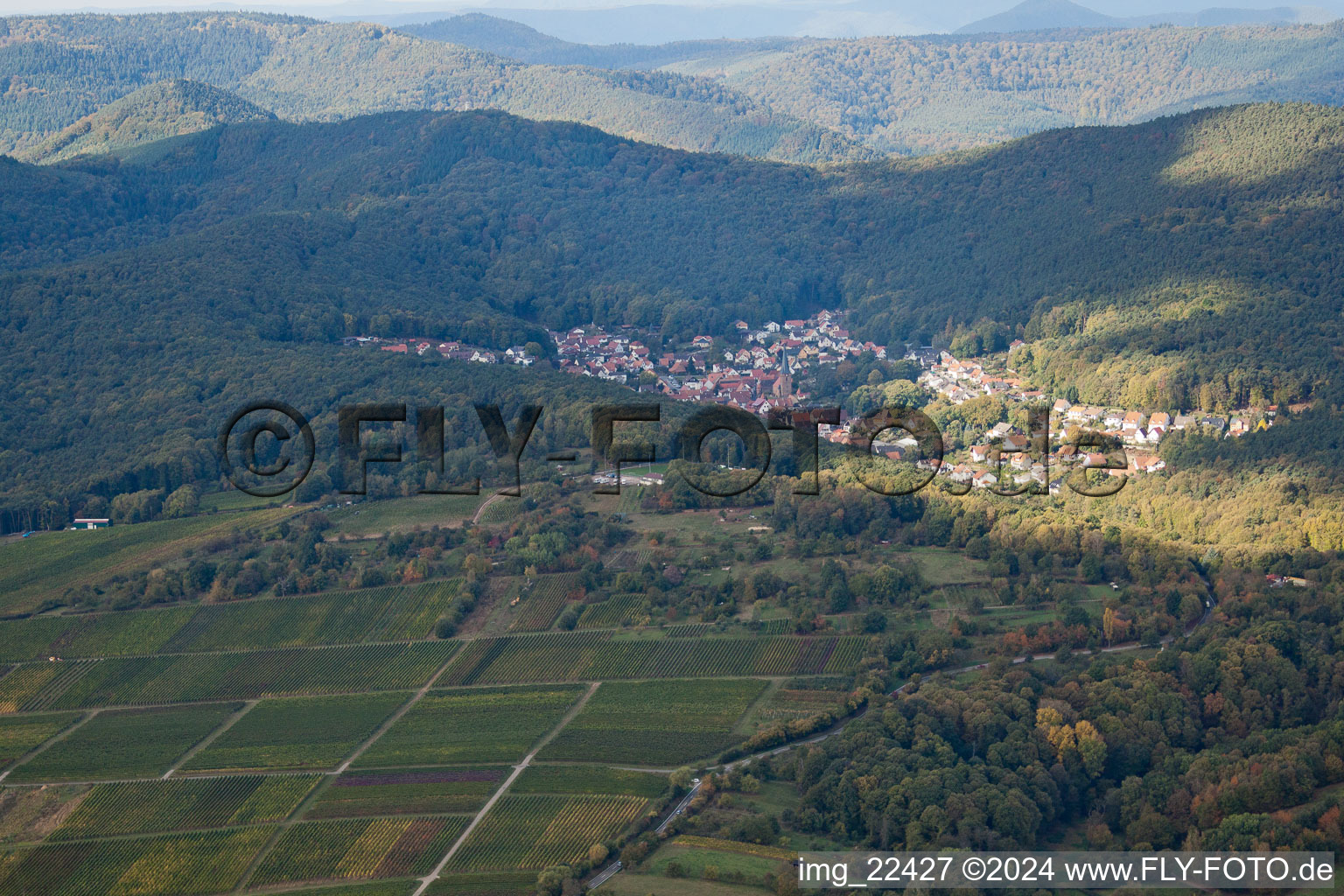 Dörrenbach dans le département Rhénanie-Palatinat, Allemagne d'en haut