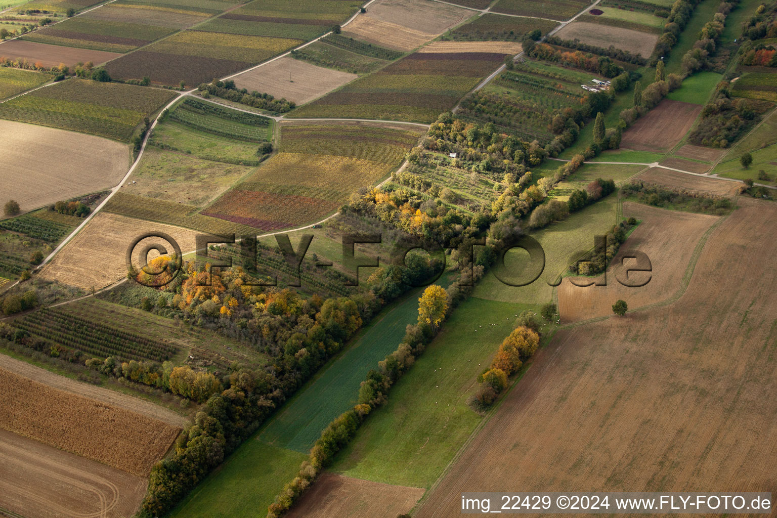 Vue aérienne de Vallée de Dierbachtal à Dörrenbach dans le département Rhénanie-Palatinat, Allemagne