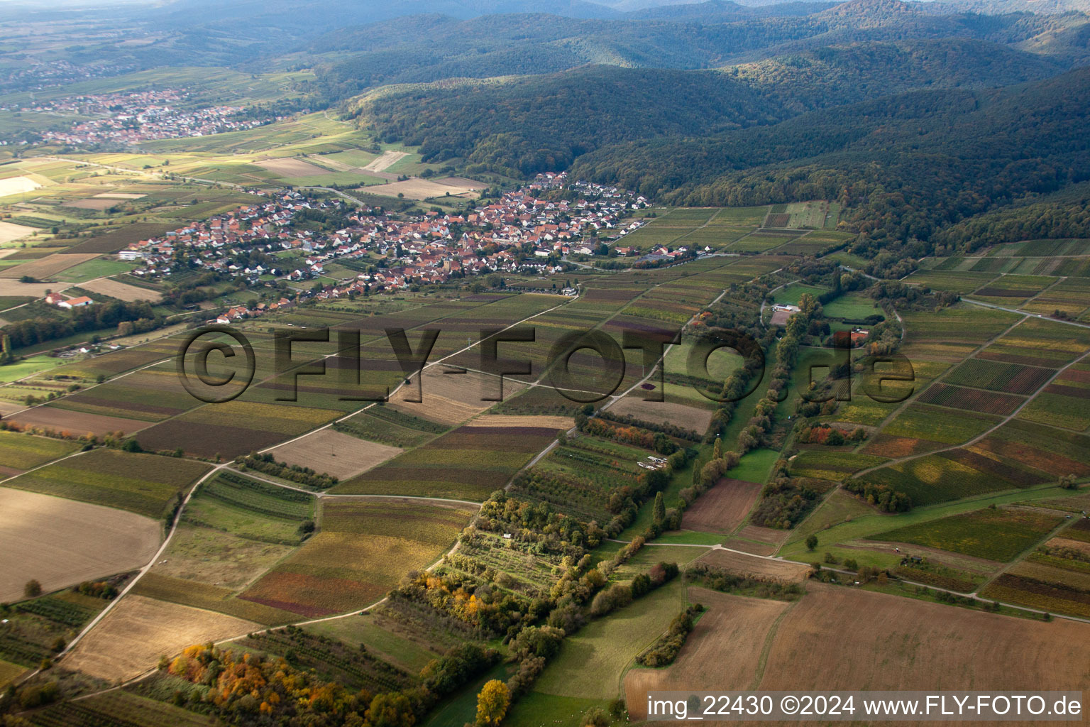 Oberotterbach dans le département Rhénanie-Palatinat, Allemagne du point de vue du drone