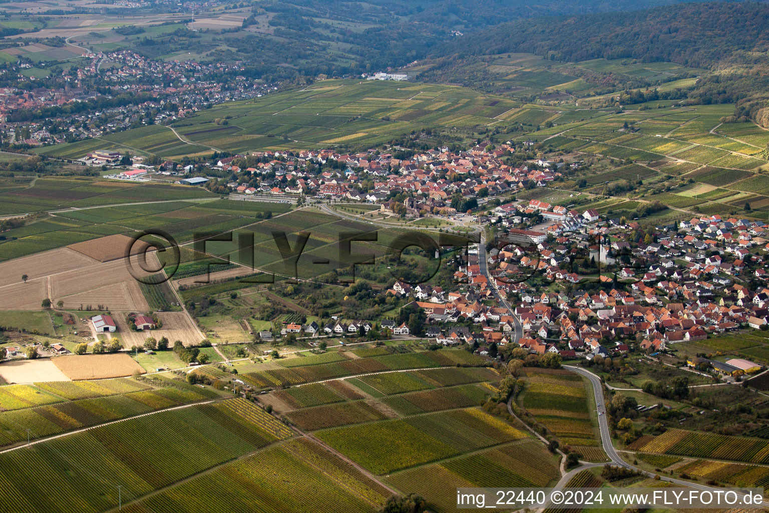 Quartier Rechtenbach in Schweigen-Rechtenbach dans le département Rhénanie-Palatinat, Allemagne vue d'en haut