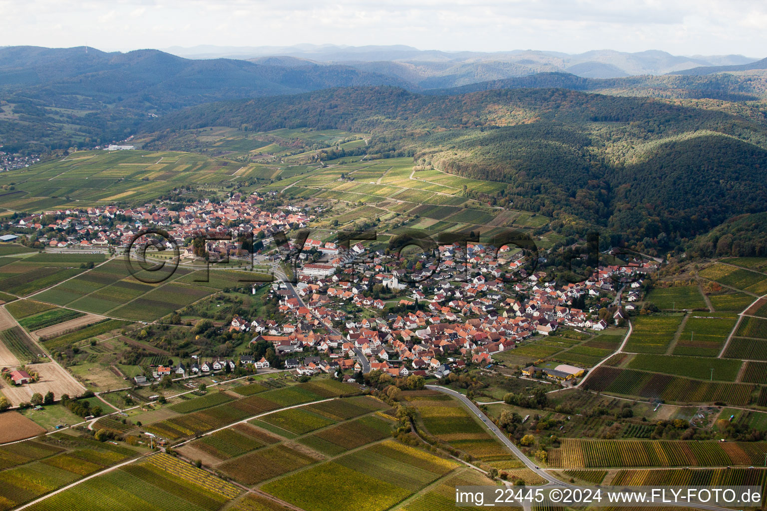 Quartier Rechtenbach in Schweigen-Rechtenbach dans le département Rhénanie-Palatinat, Allemagne depuis l'avion