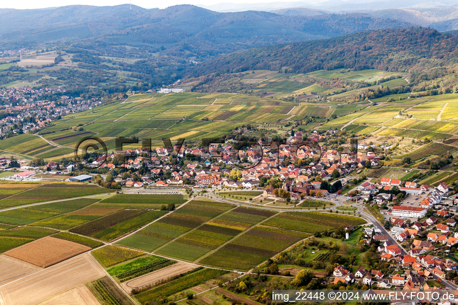 Photographie aérienne de Vignobles en Schweigen à le quartier Schweigen in Schweigen-Rechtenbach dans le département Rhénanie-Palatinat, Allemagne